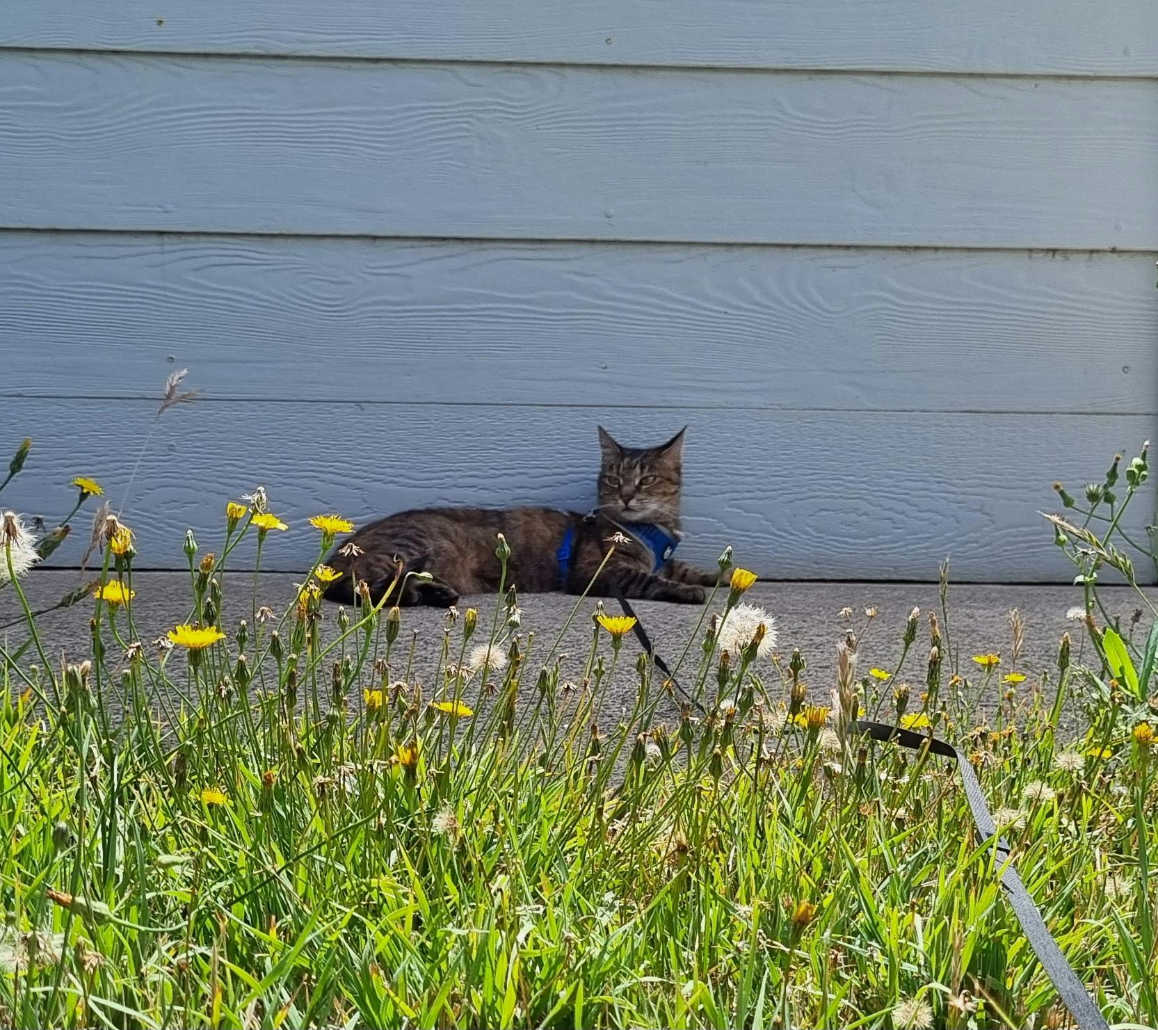 user avatar image for Sinead 