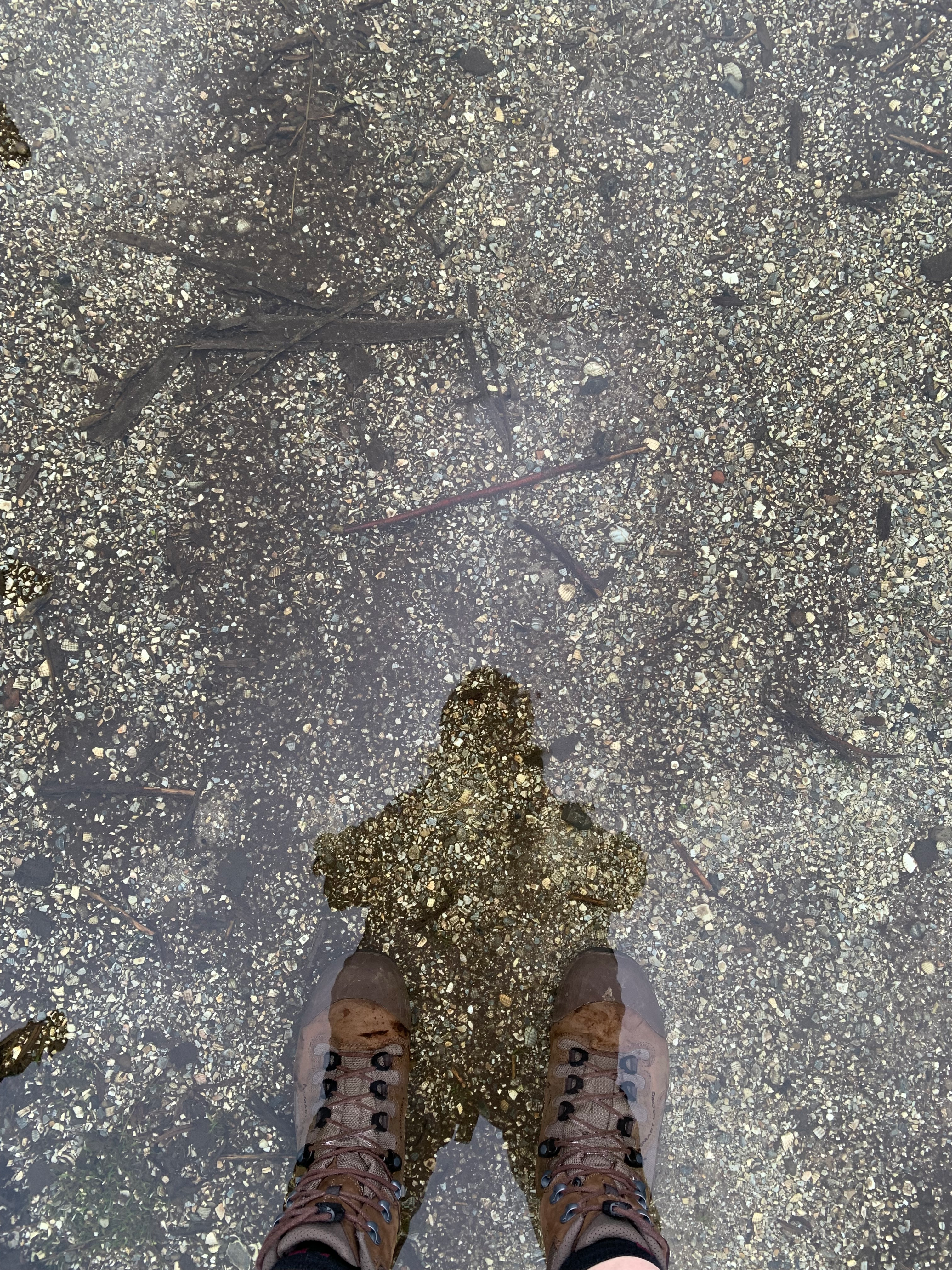 user avatar image for Iris Benjamins