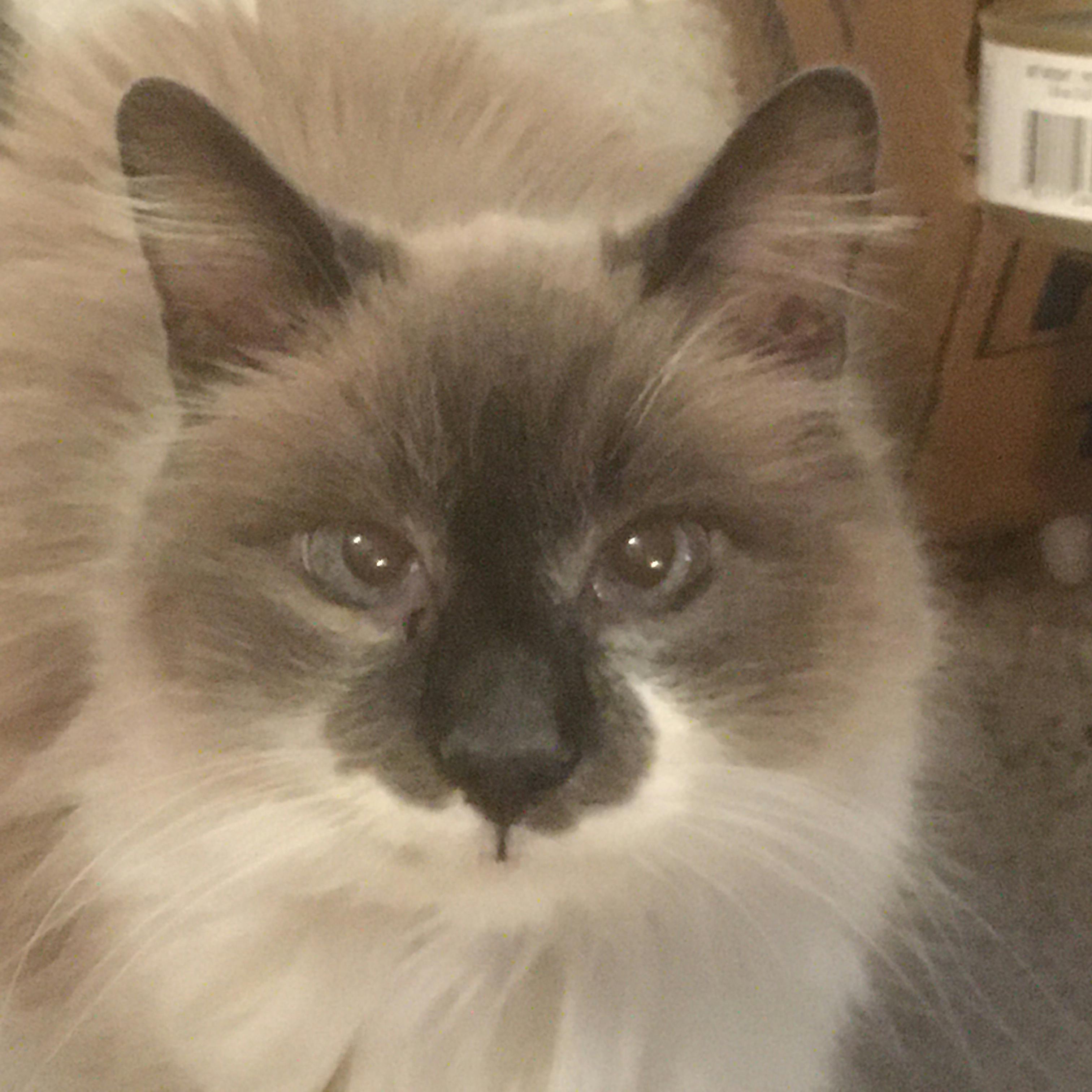 user avatar image for Archangel Beth