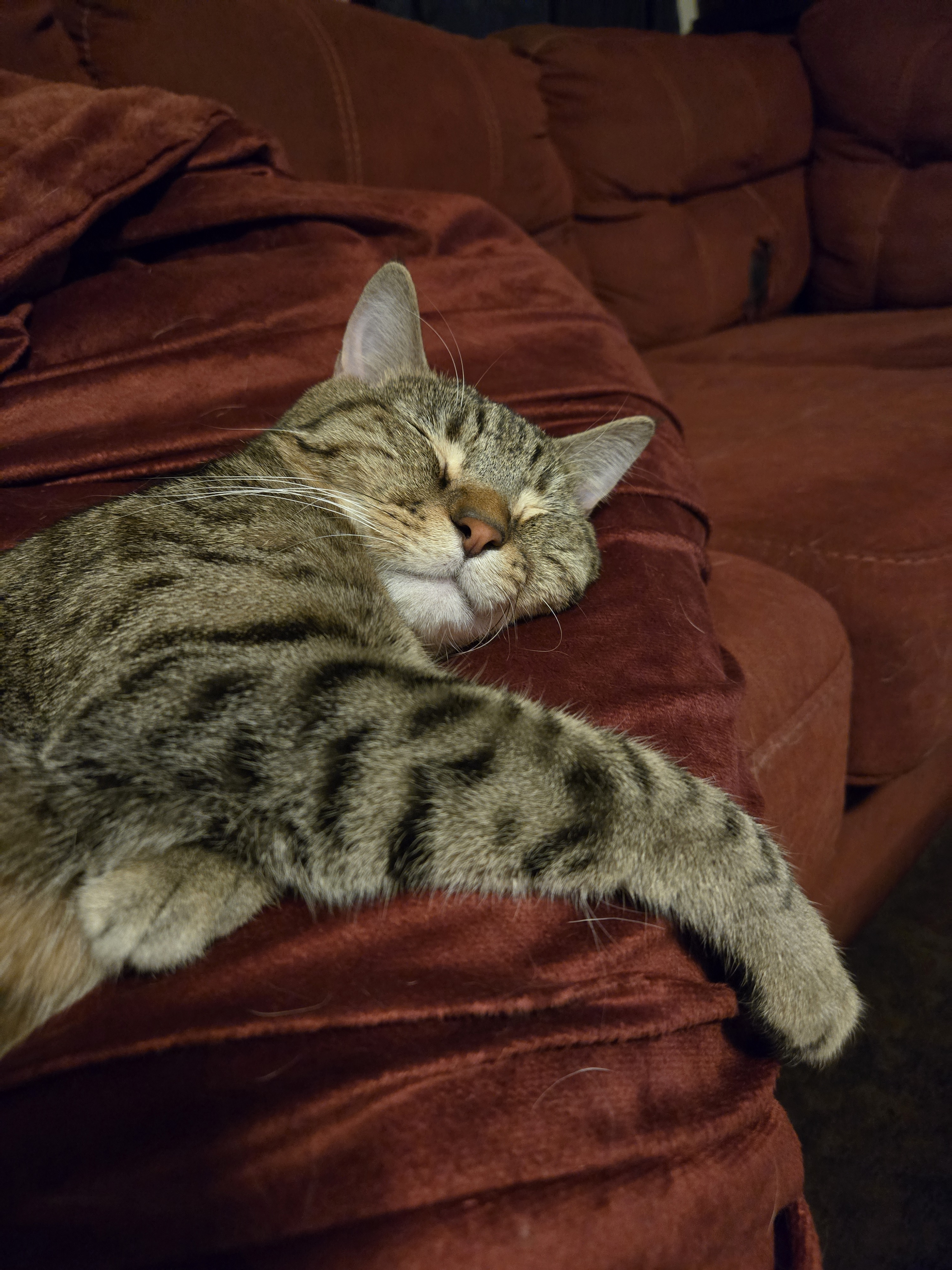 user avatar image for Kayla