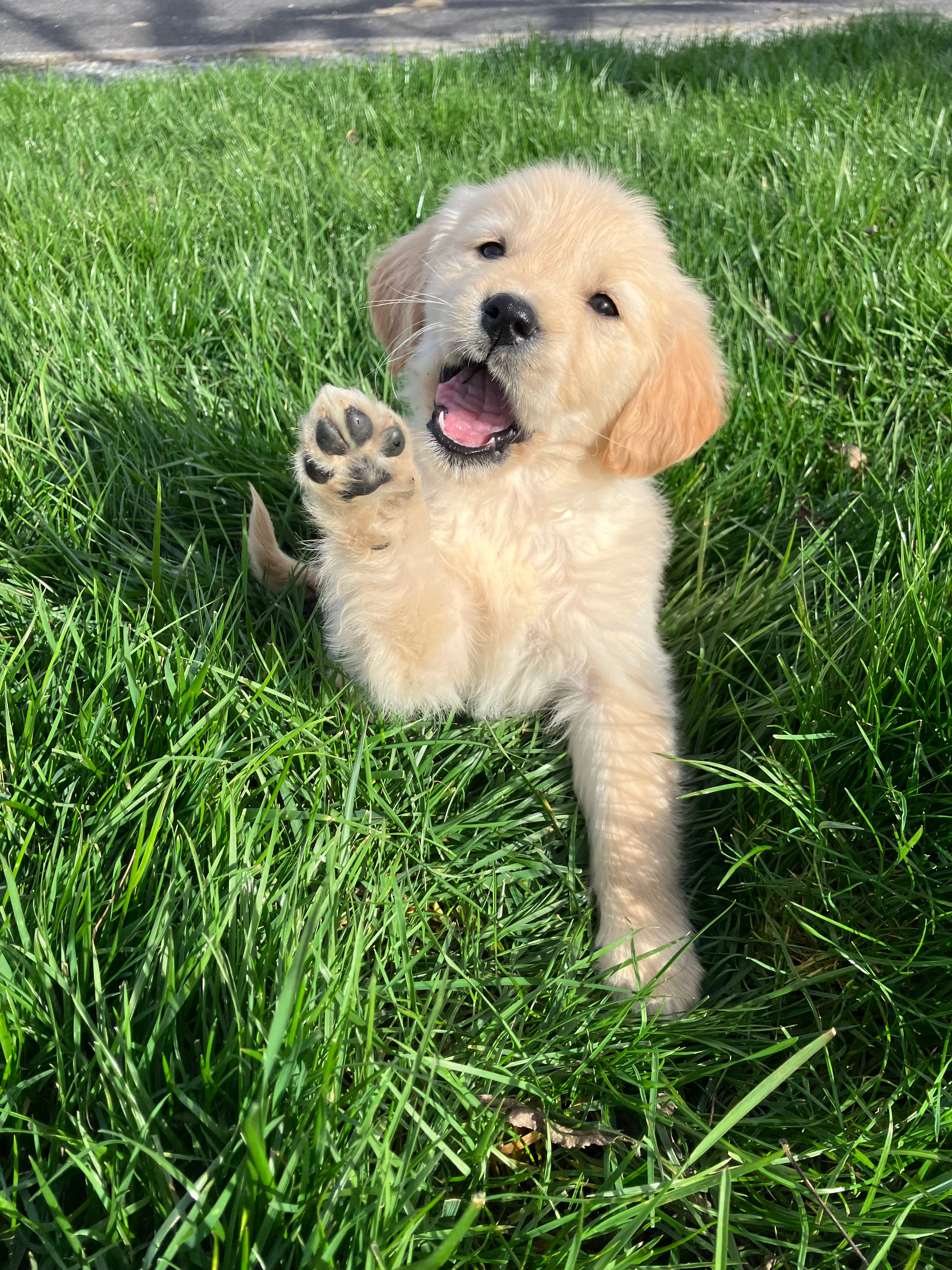 user avatar image for Book_Girl