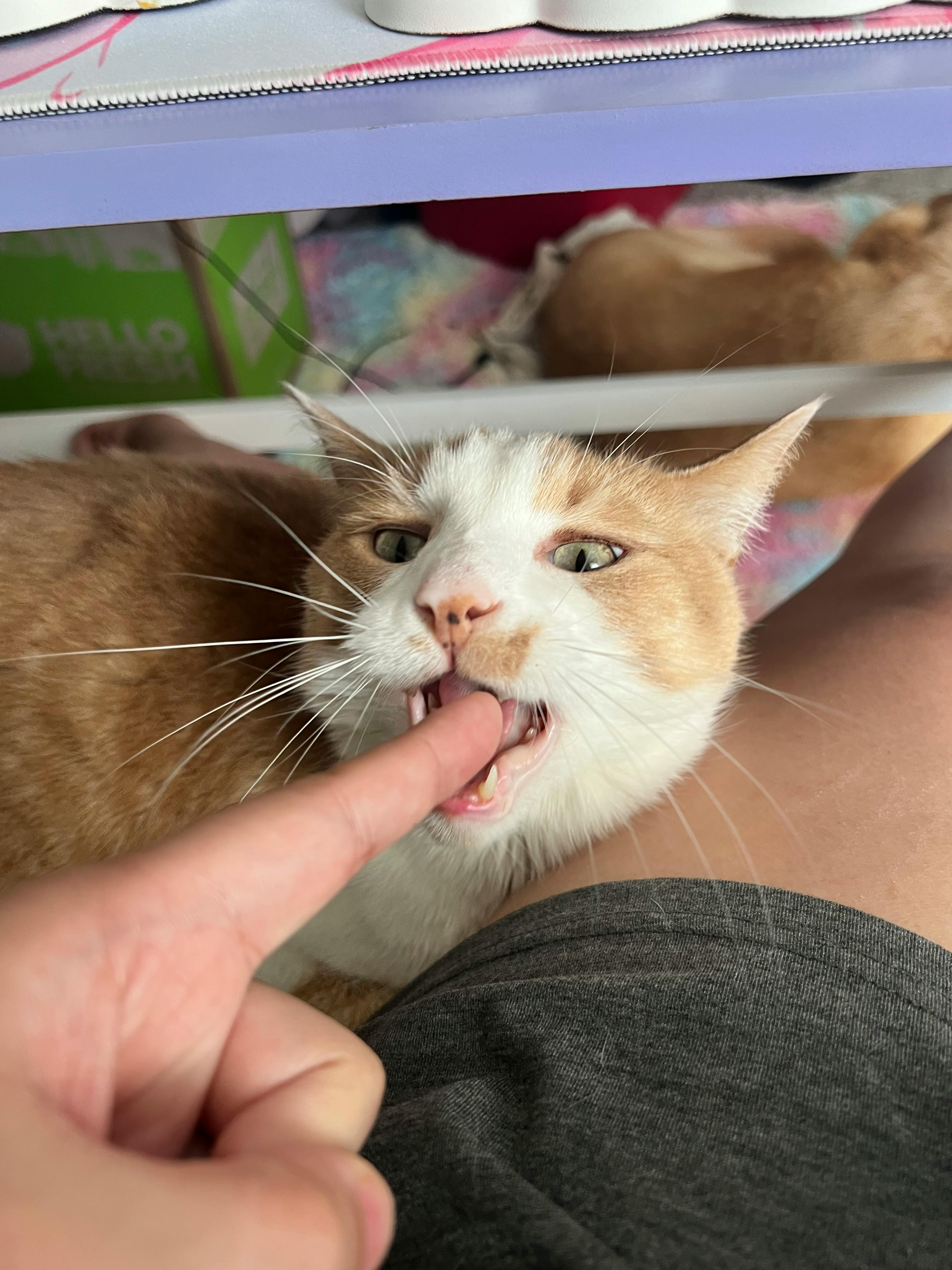 user avatar image for Christian Le