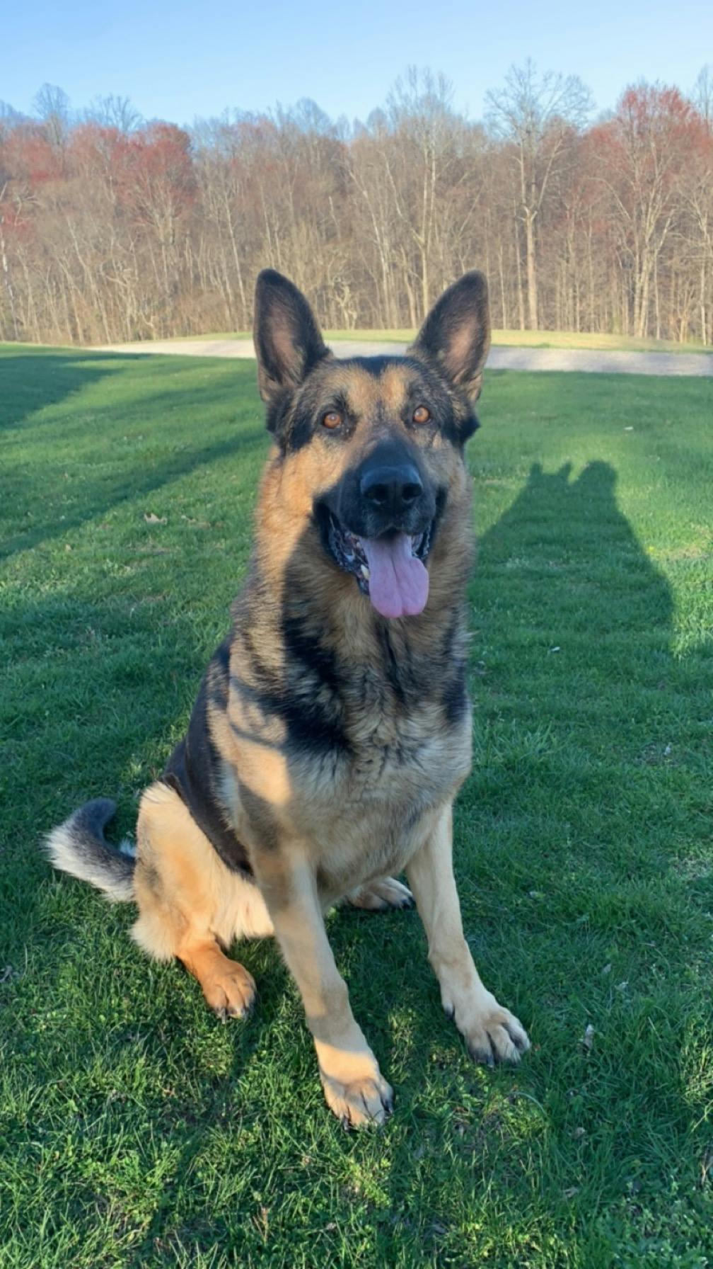 user avatar image for Kelzennak 