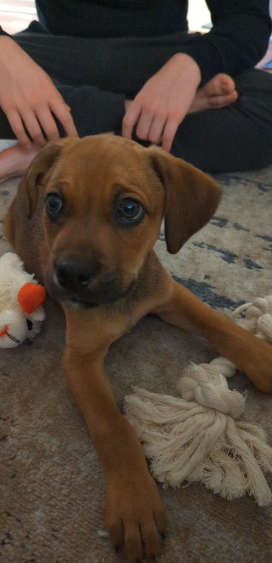 user avatar image for Walt30