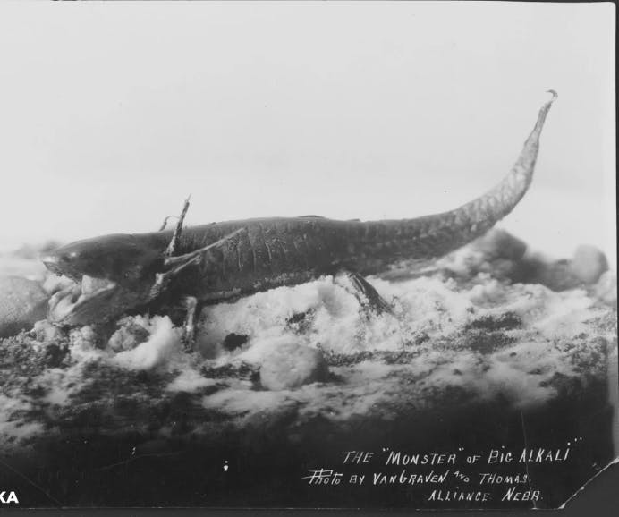 Alkali Lake Monster