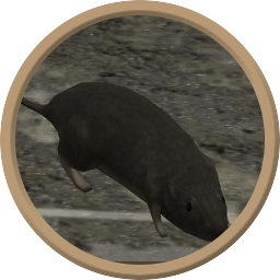 user avatar image for Wigiot12