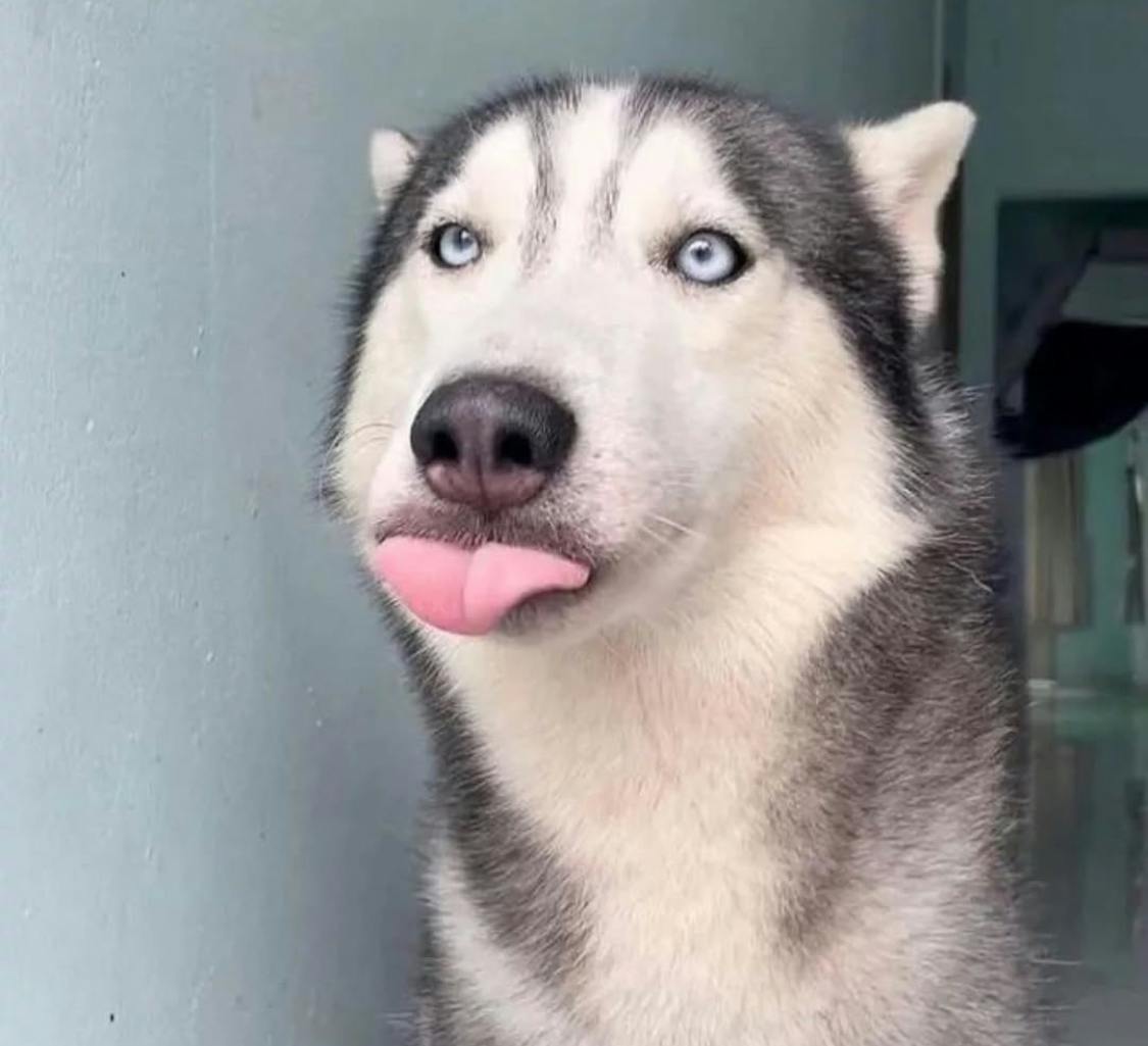 user avatar image for Kellin coin 