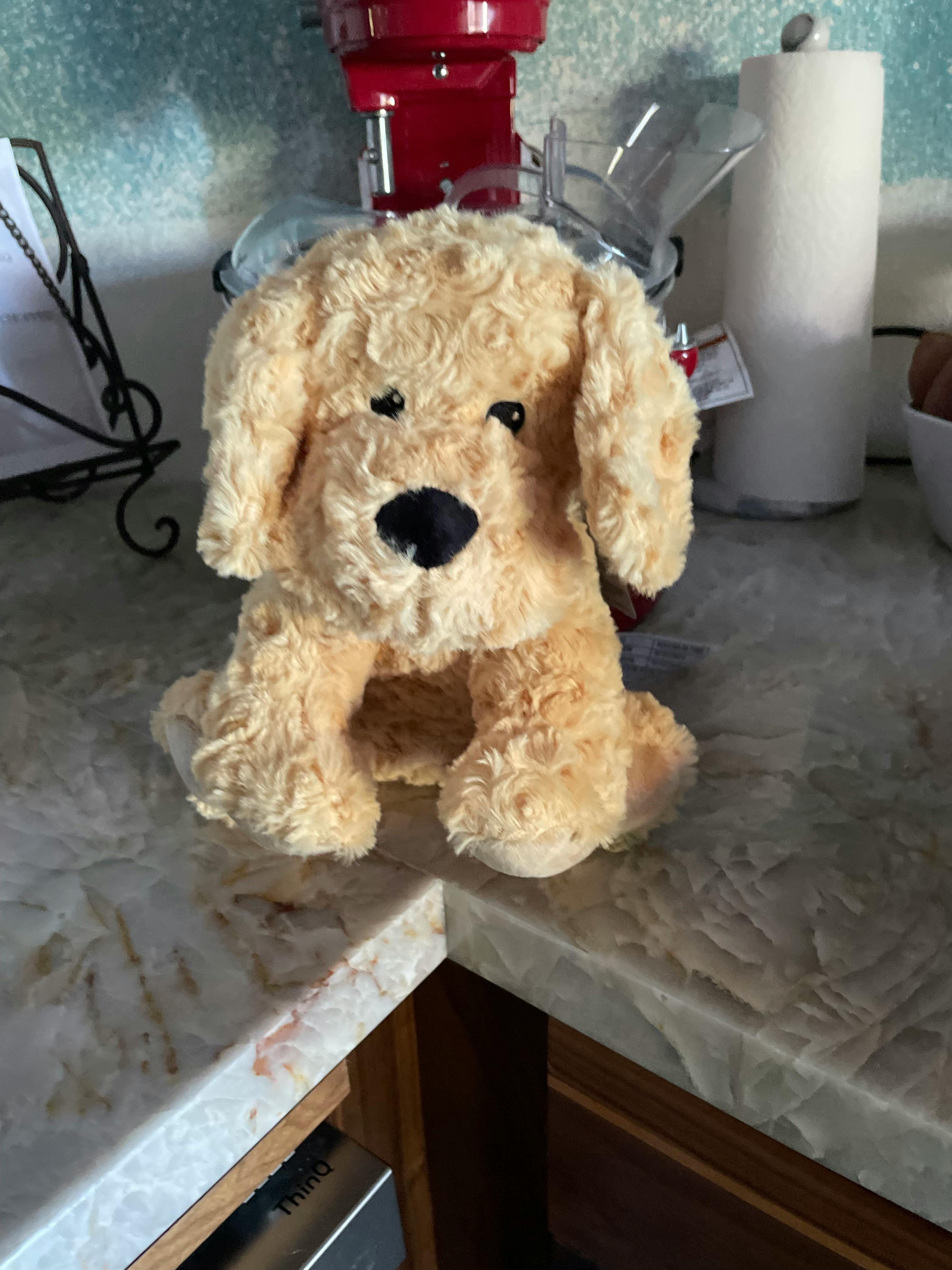 user avatar image for Scott