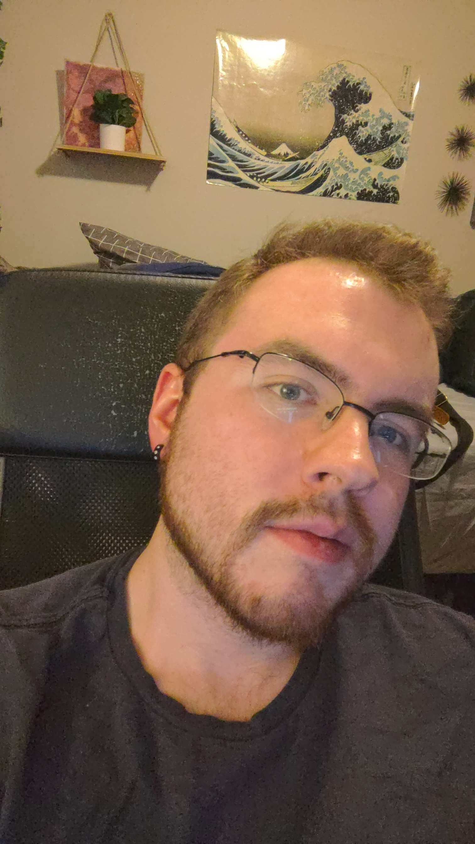 user avatar image for VulpesFugit