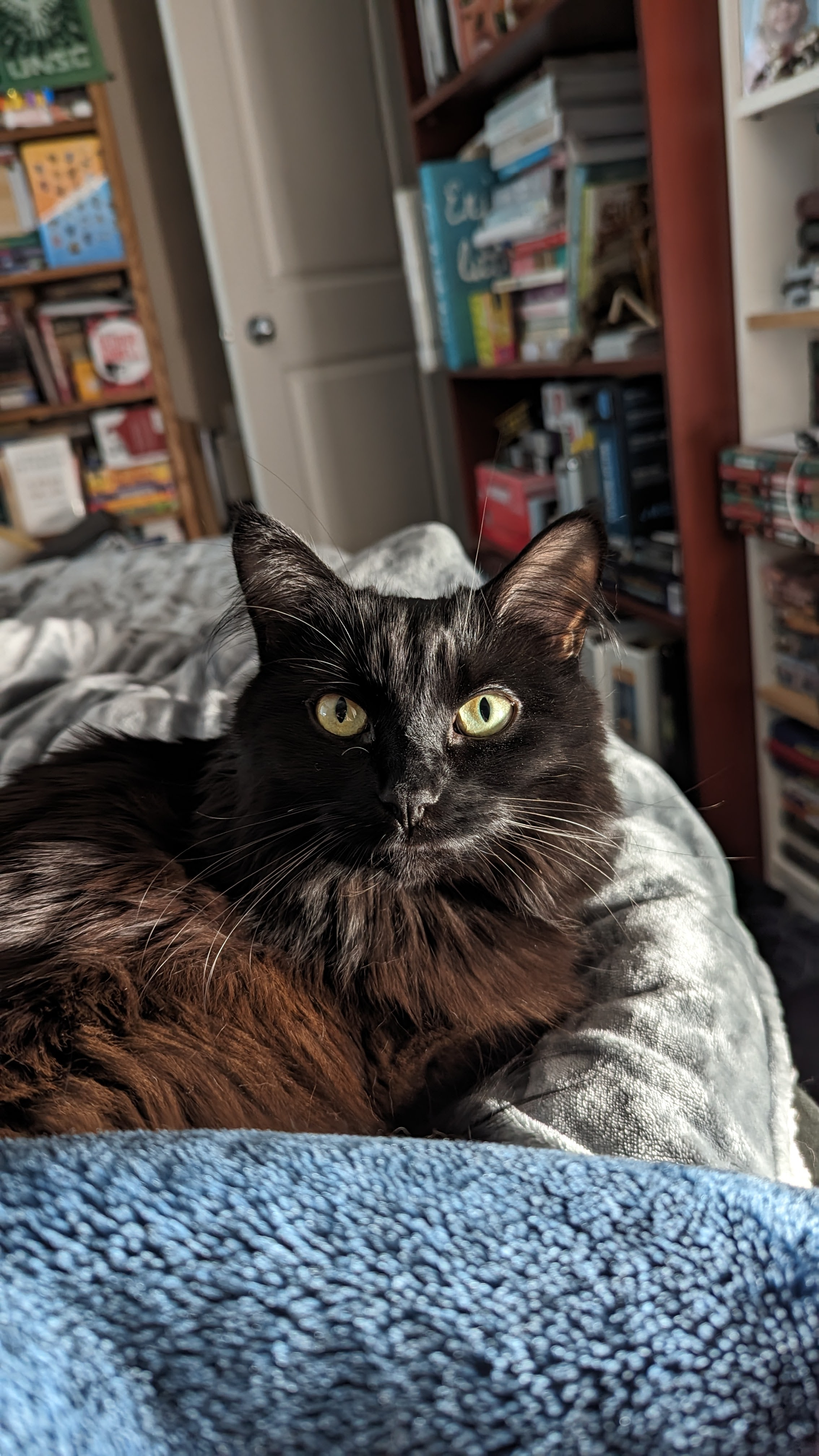 user avatar image for DBBB117