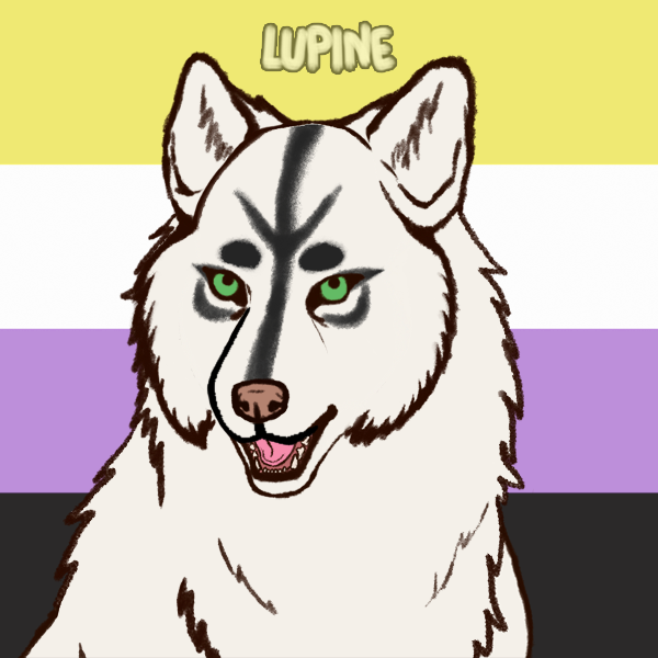 user avatar image for winterlycan