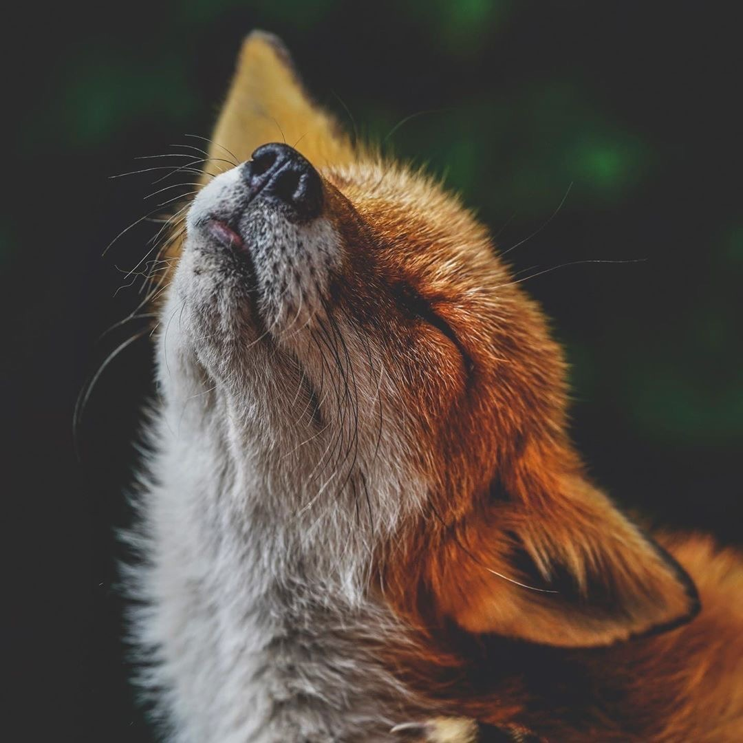 user avatar image for 𝔭𝔢𝔱𝔯𝔦𝔠𝔥𝔬𝔯 𝔡𝔯𝔢𝔞𝔪𝔰