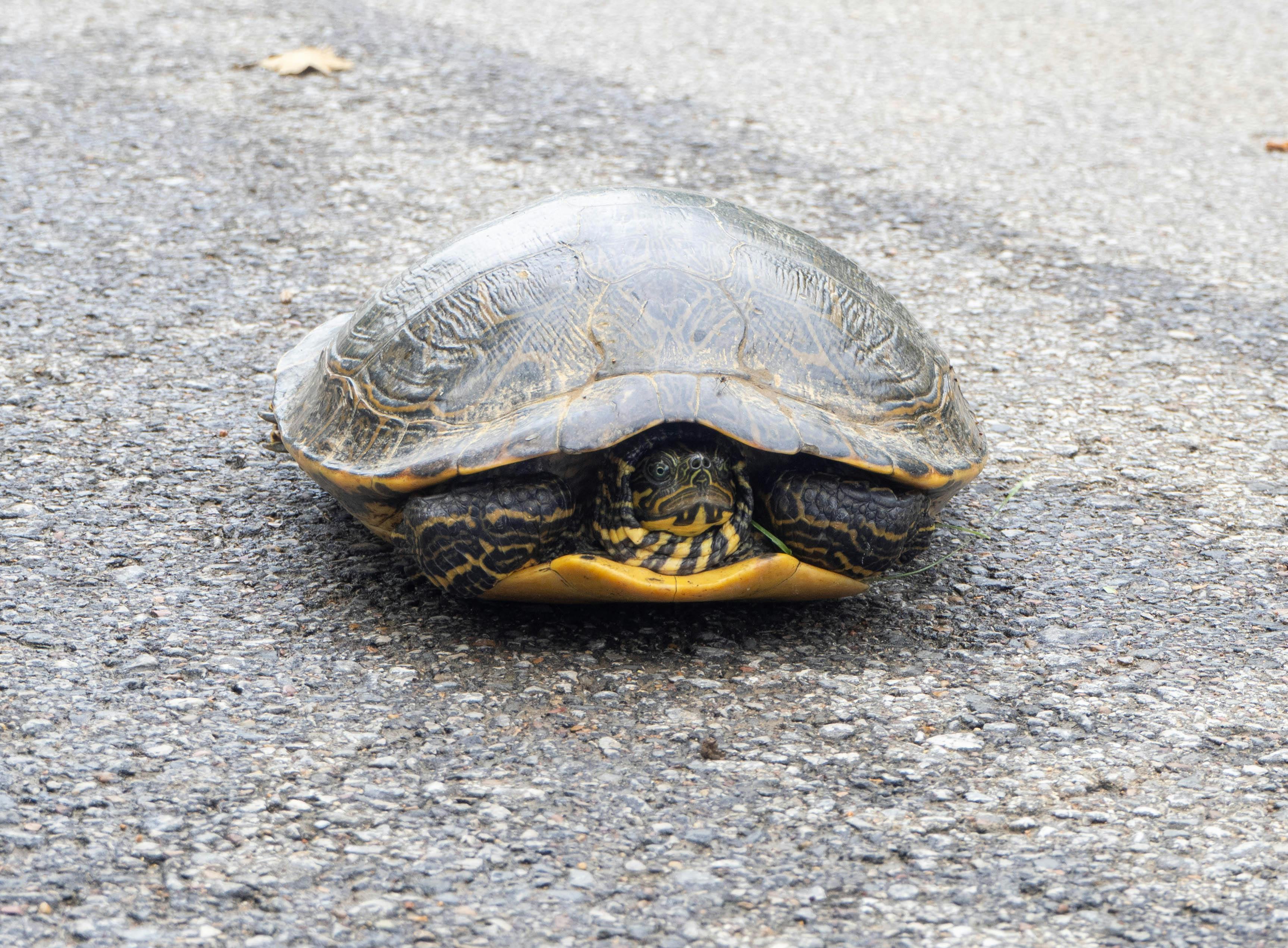 user avatar image for Robert Dilgard