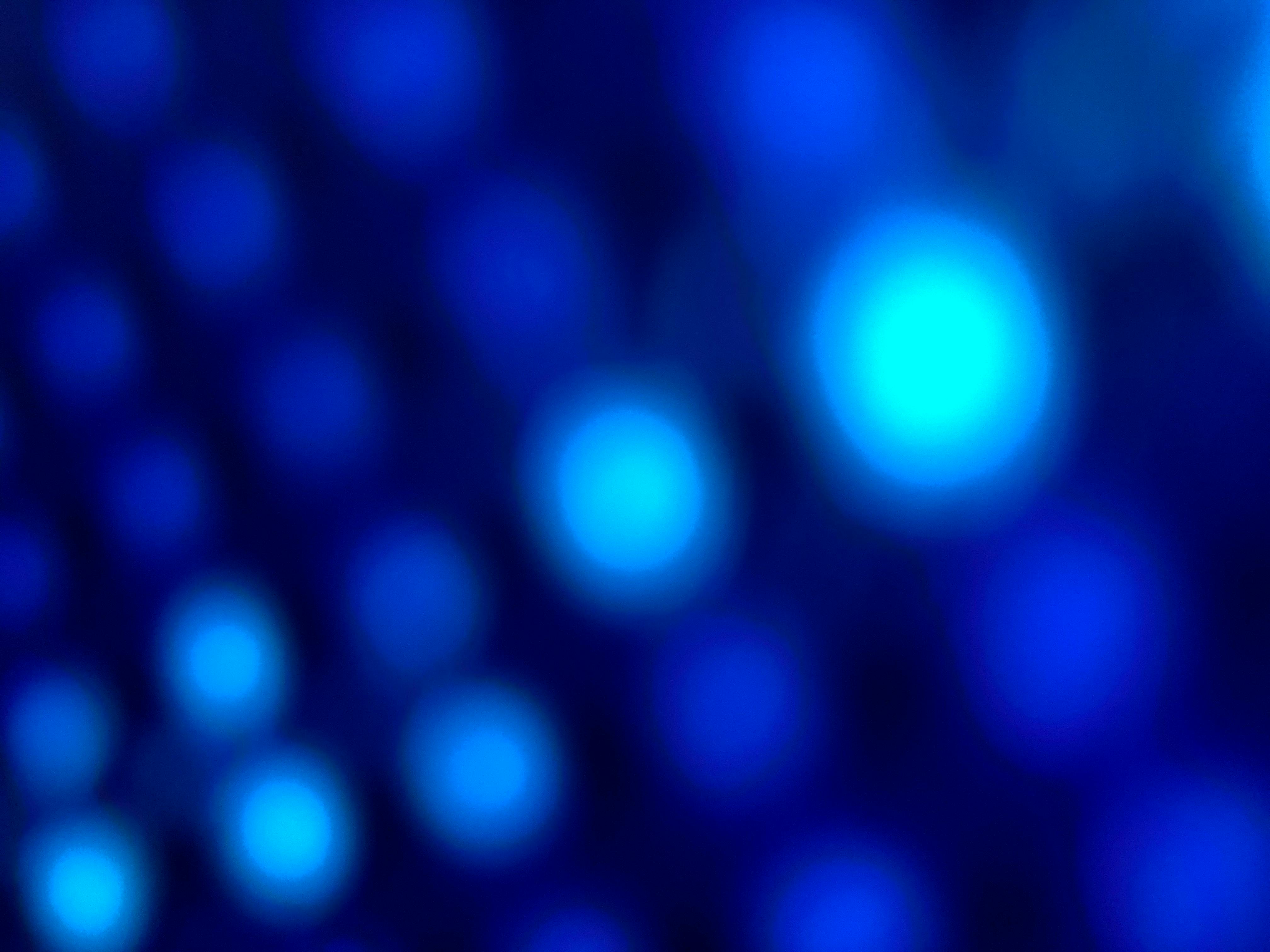 user avatar image for TheLucidMonarch