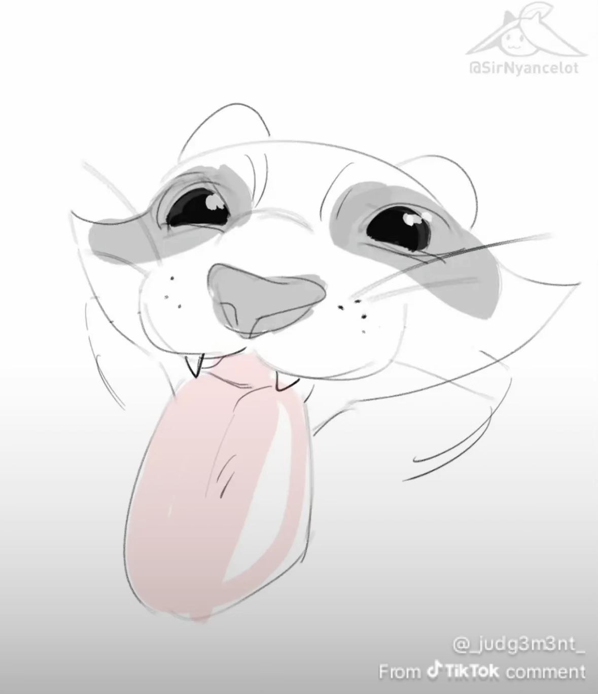 user avatar image for Max Jack