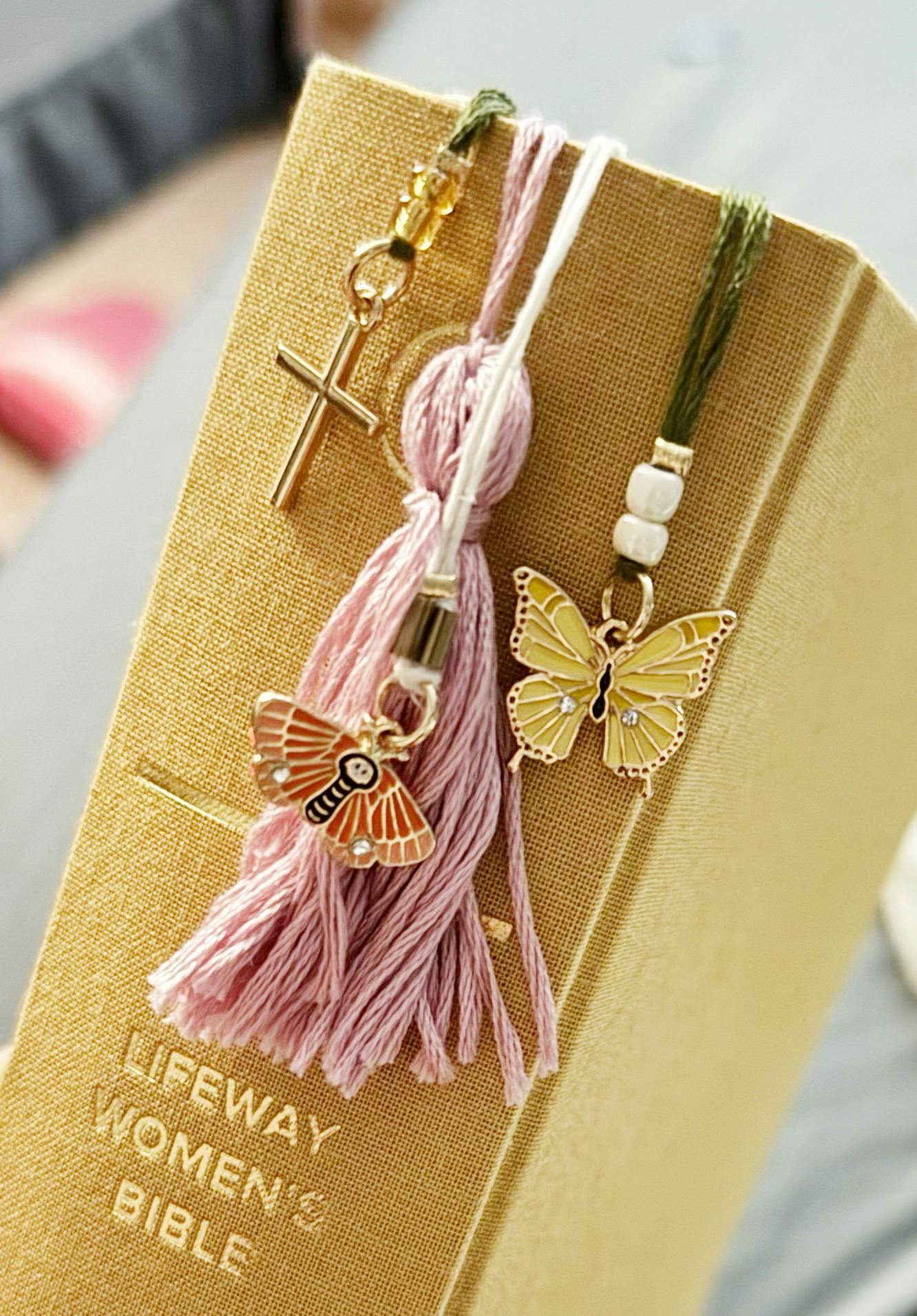 user avatar image for Chelsea Treubig