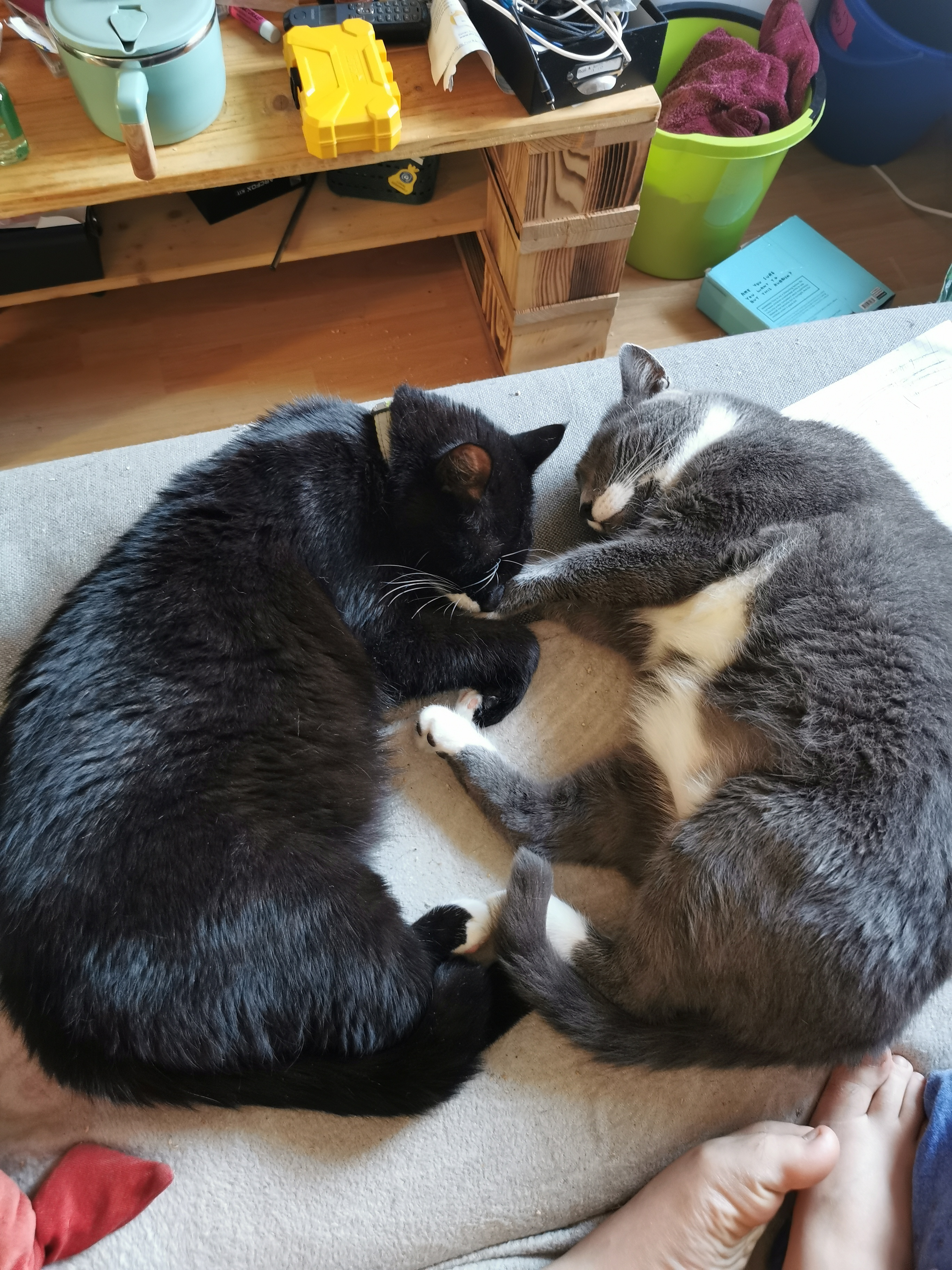 user avatar image for Jacky