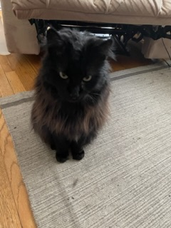 user avatar image for Sonny McKnire