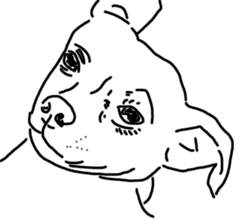 user avatar image for dontforgettostretch