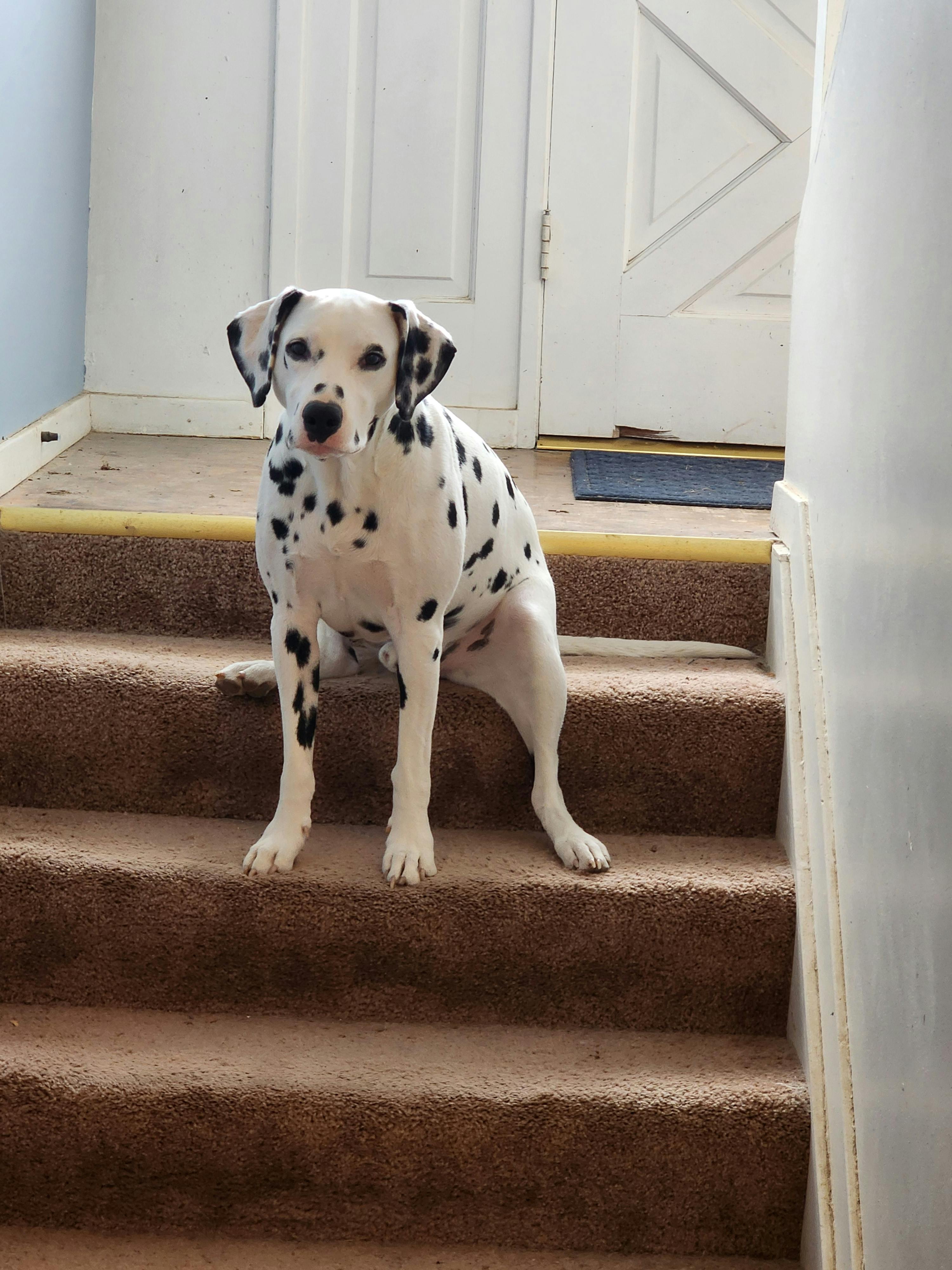 user avatar image for Doza