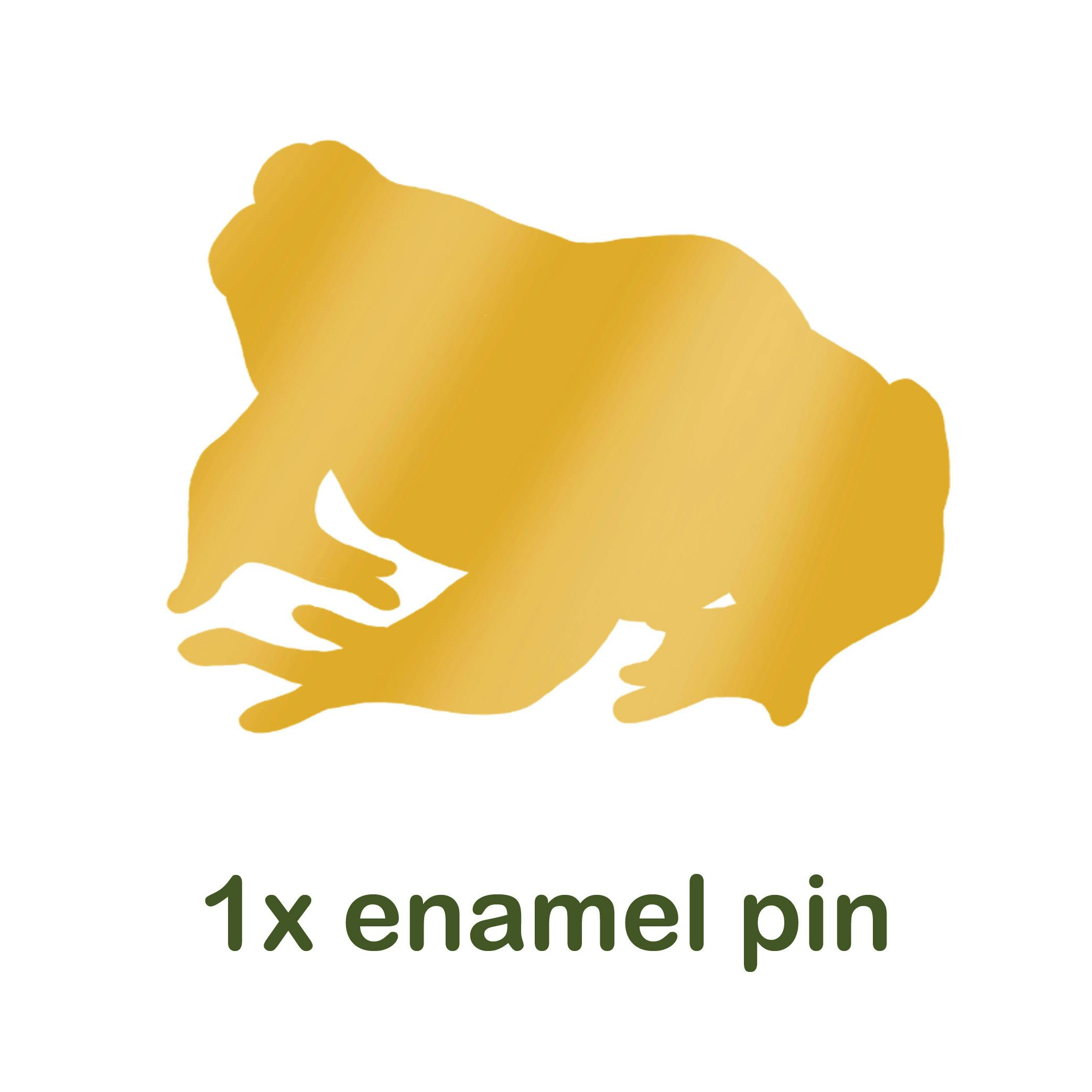 One previous amphibian pin (previous projects)