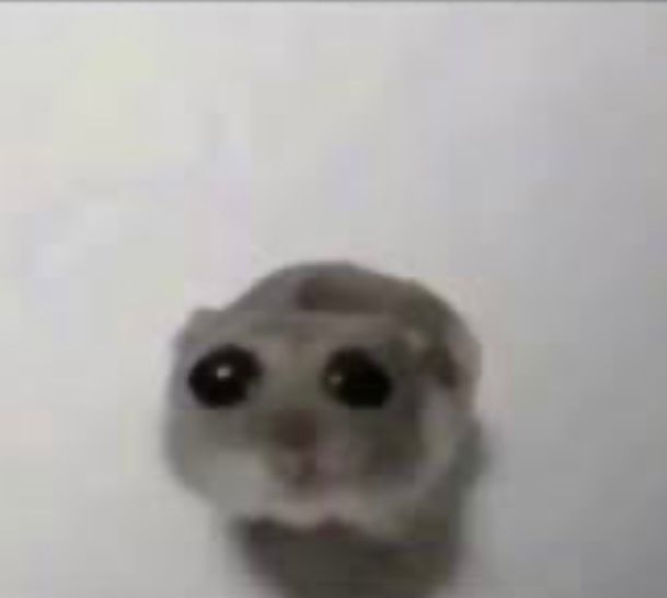 user avatar image for Kennedy