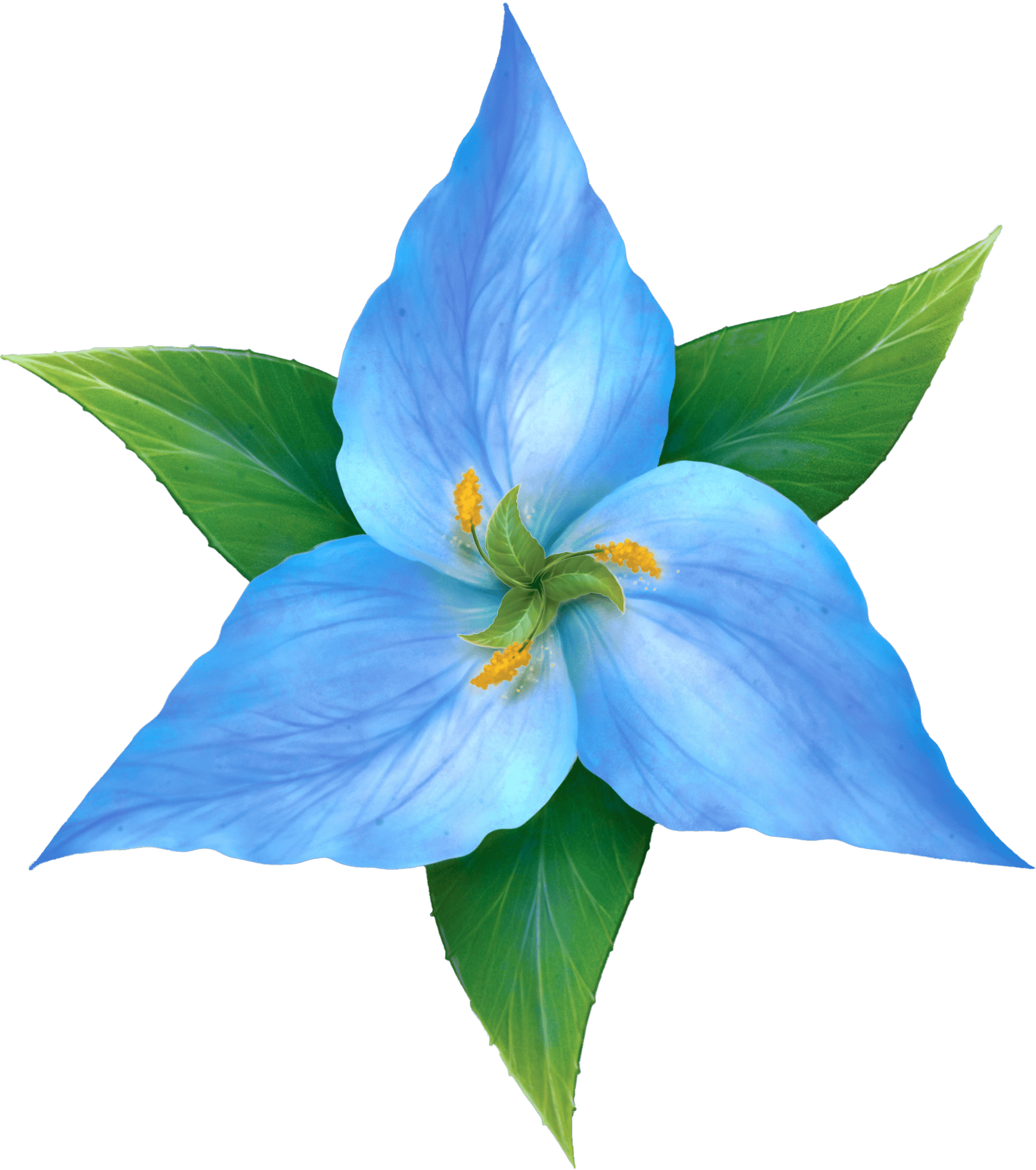 user avatar image for Sara