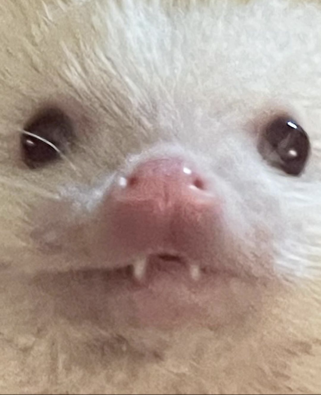 user avatar image for Holly