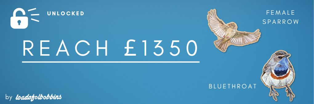 reach £1350 unlocked two mini wooden pins one of a flying female sparrow and the other of a bluethroat