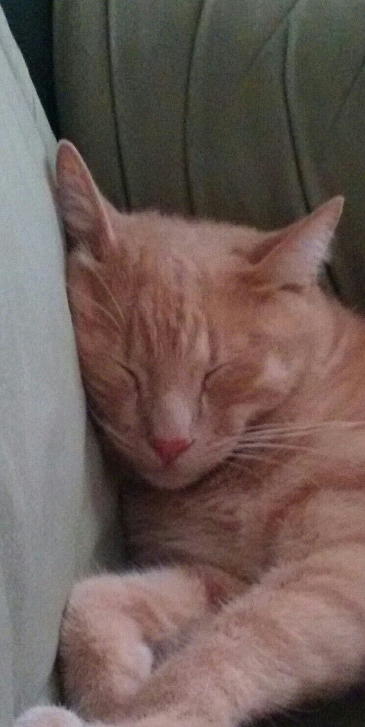 user avatar image for Andrewix