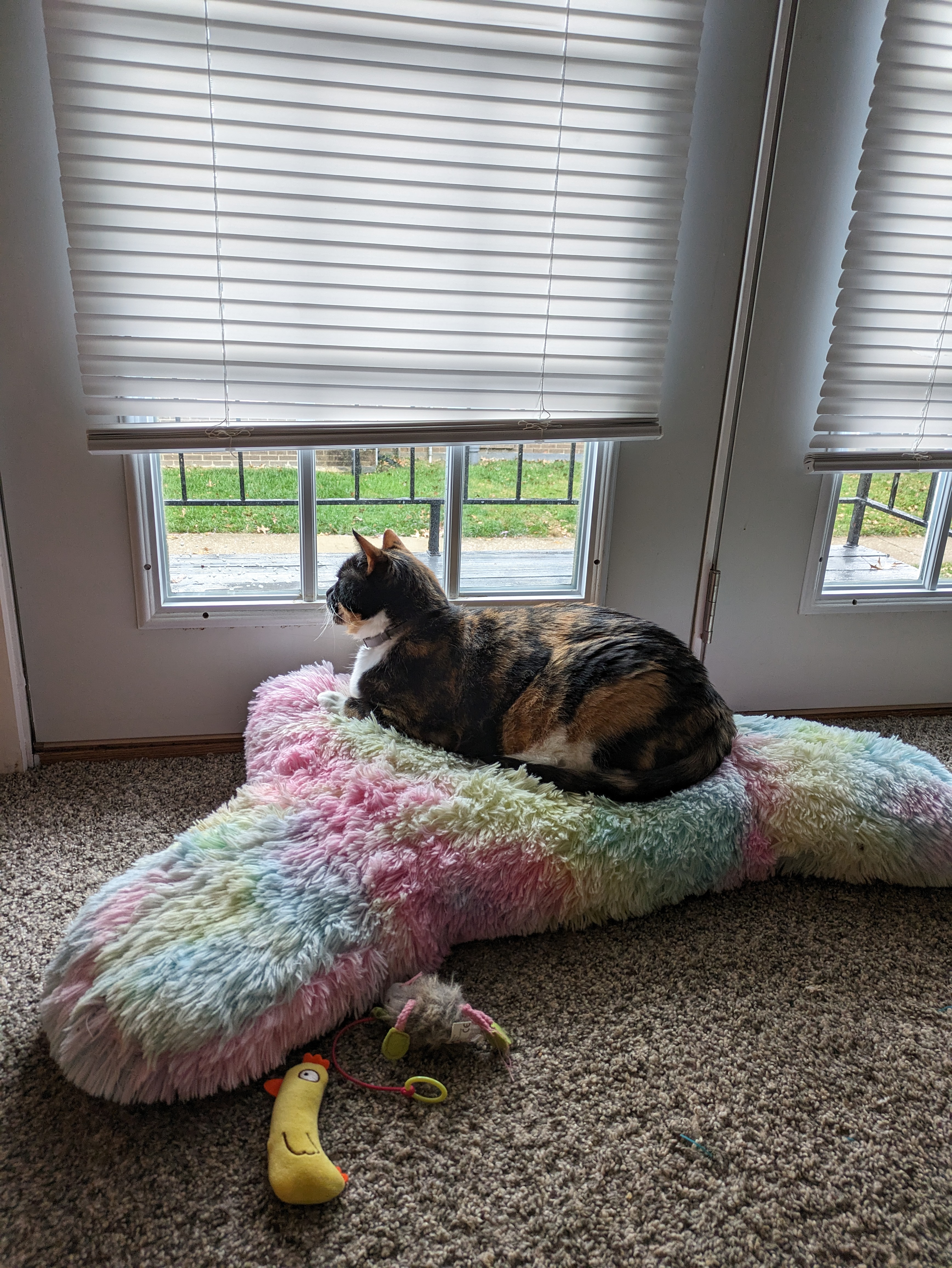 user avatar image for CraftyAlyKat