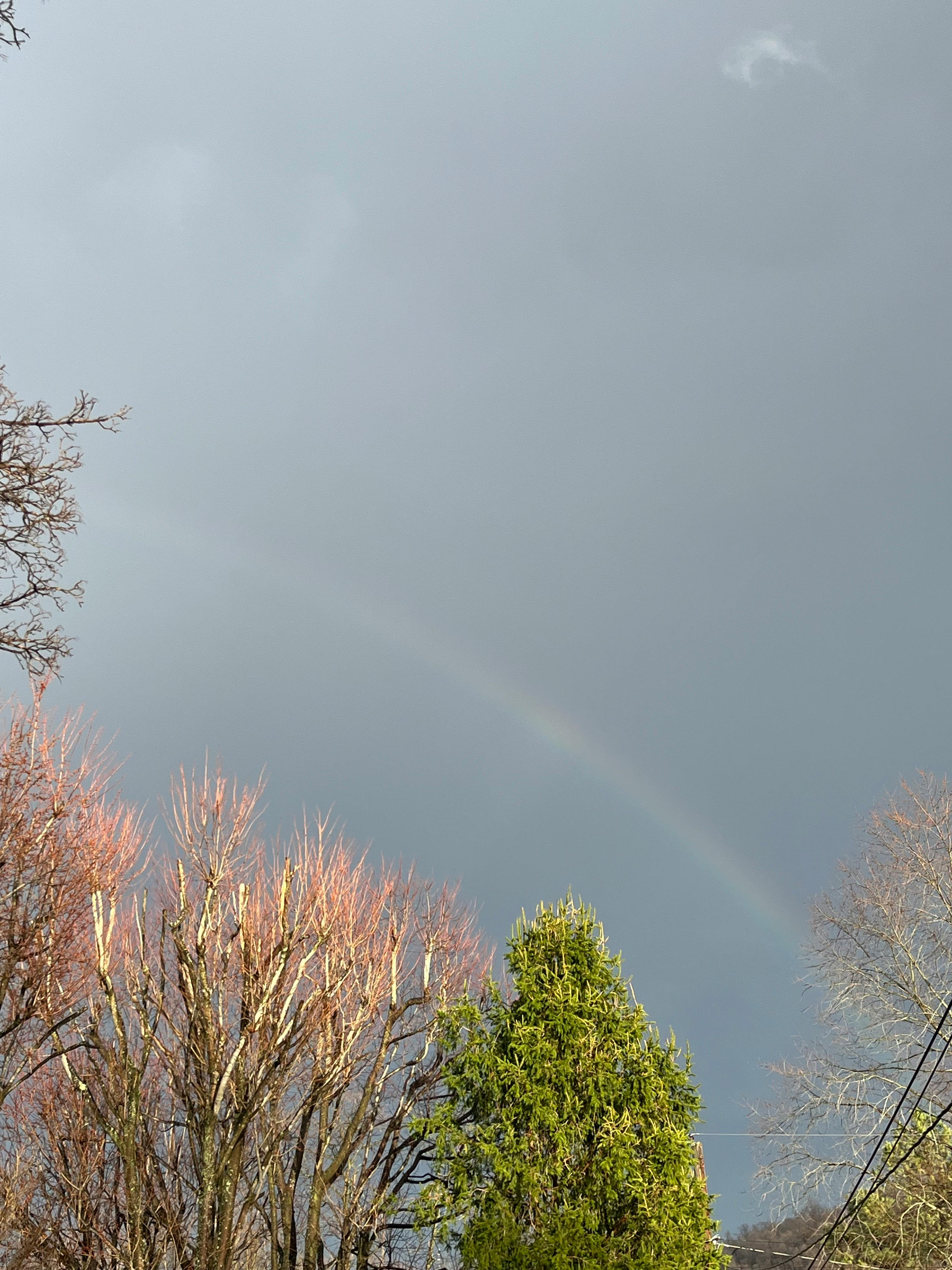 user avatar image for Bec