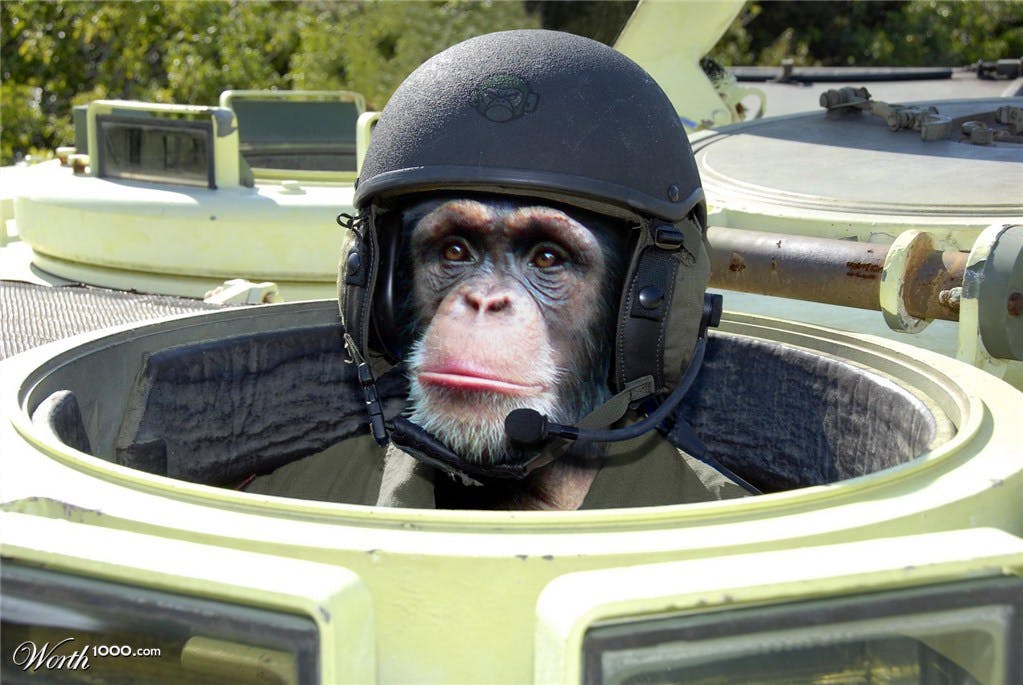 user avatar image for Blair Crewther