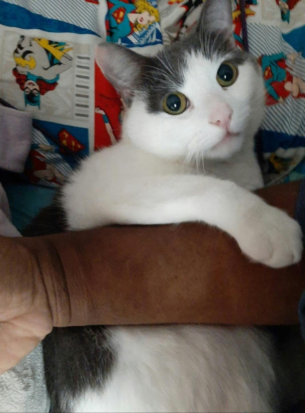 user avatar image for Bea