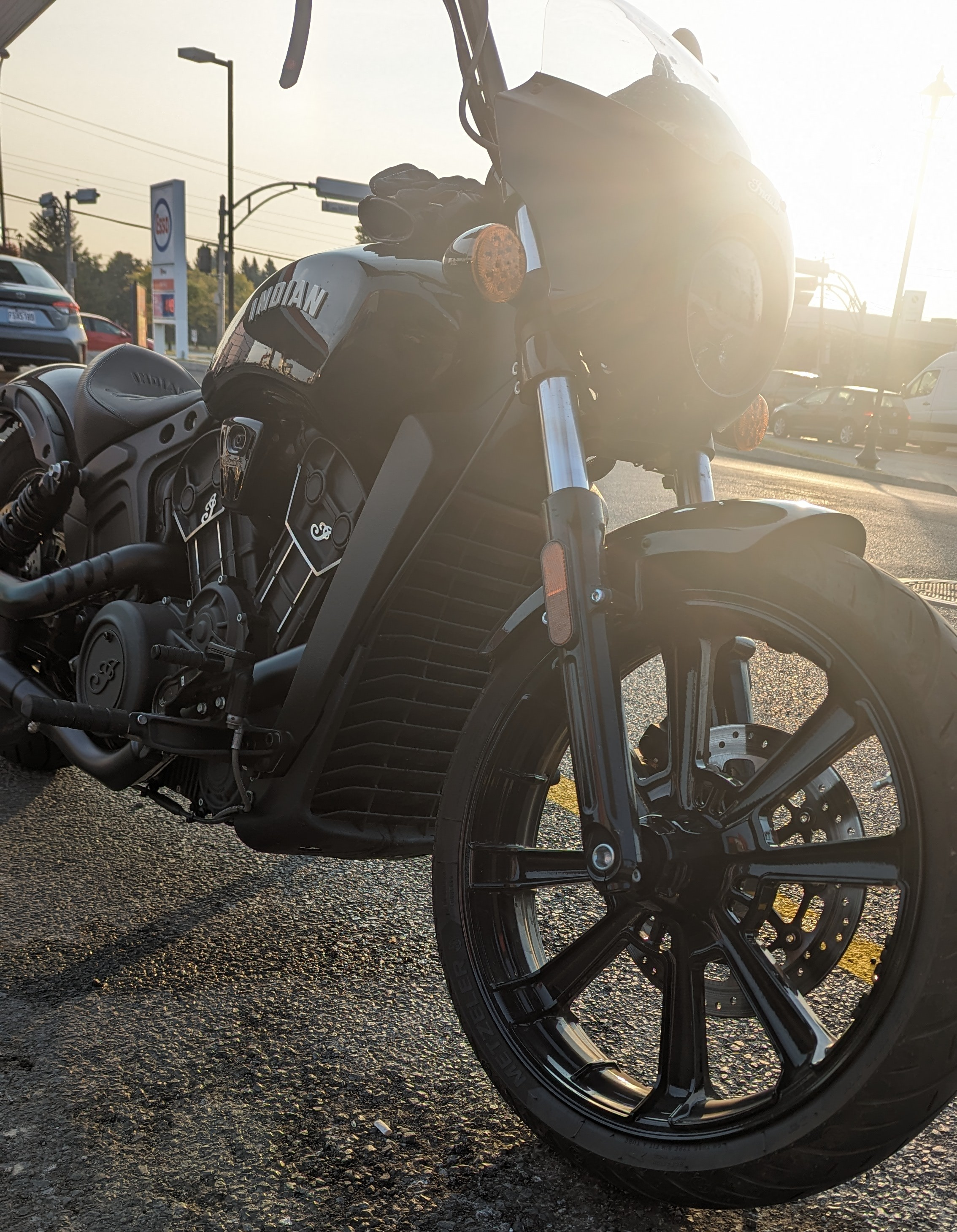 user avatar image for Moose