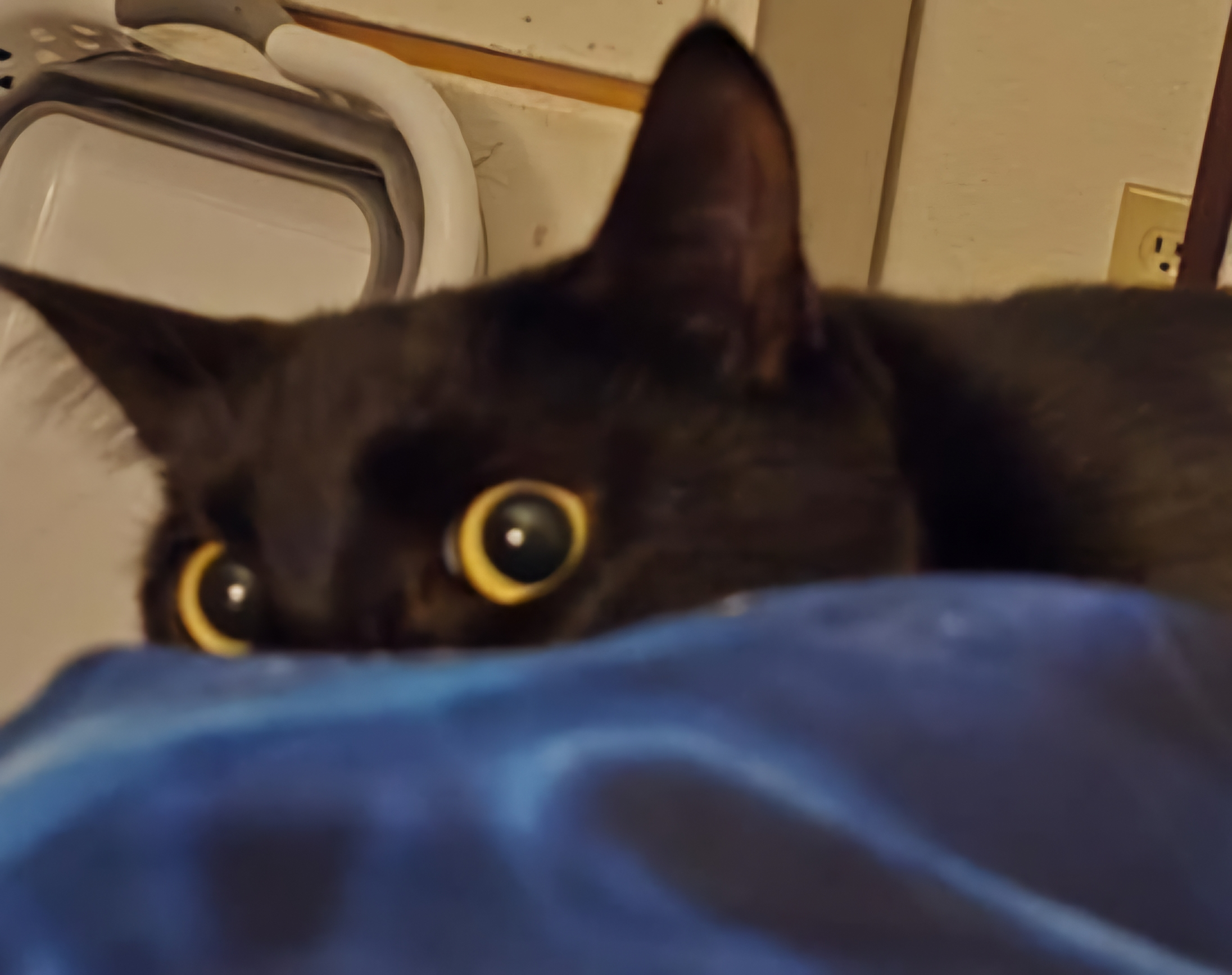 user avatar image for Elanor