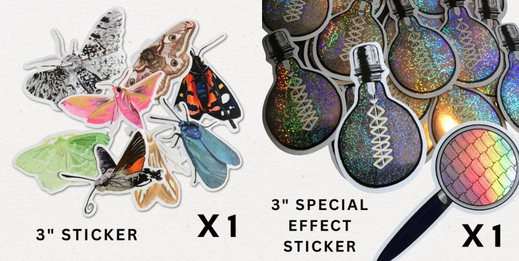 on the left 8 different moth stickers showing a peppered moth, female emperor moth, scarlet tiger moth, scarce forester moth, hummingbird hawk-moth and large emerald moth. On the right glitter effect sticker of a light bulb and a holographic effect sticker of a magnifying glass showing close up scales of a moth