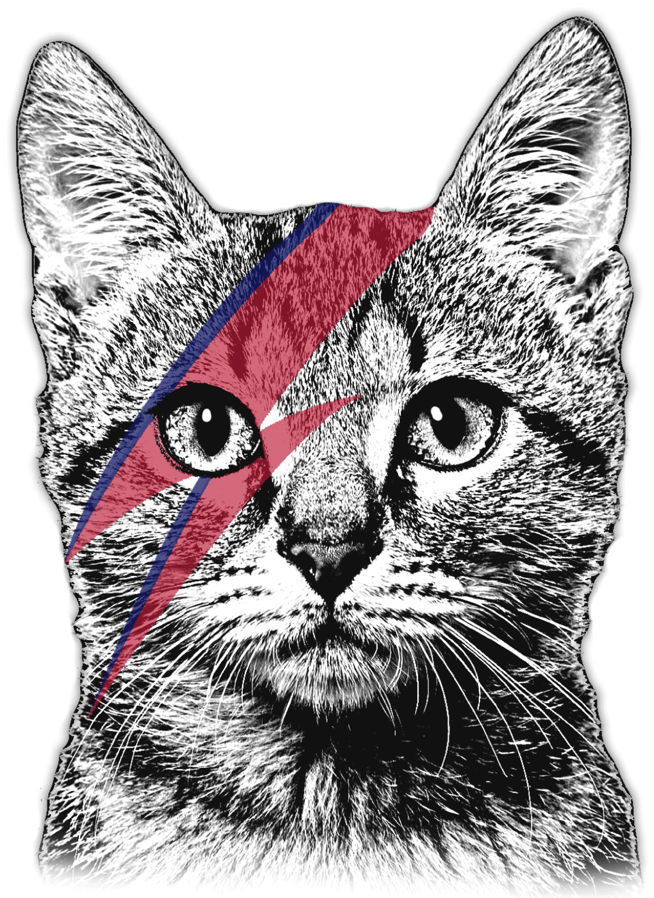 user avatar image for David Gómez Relloso