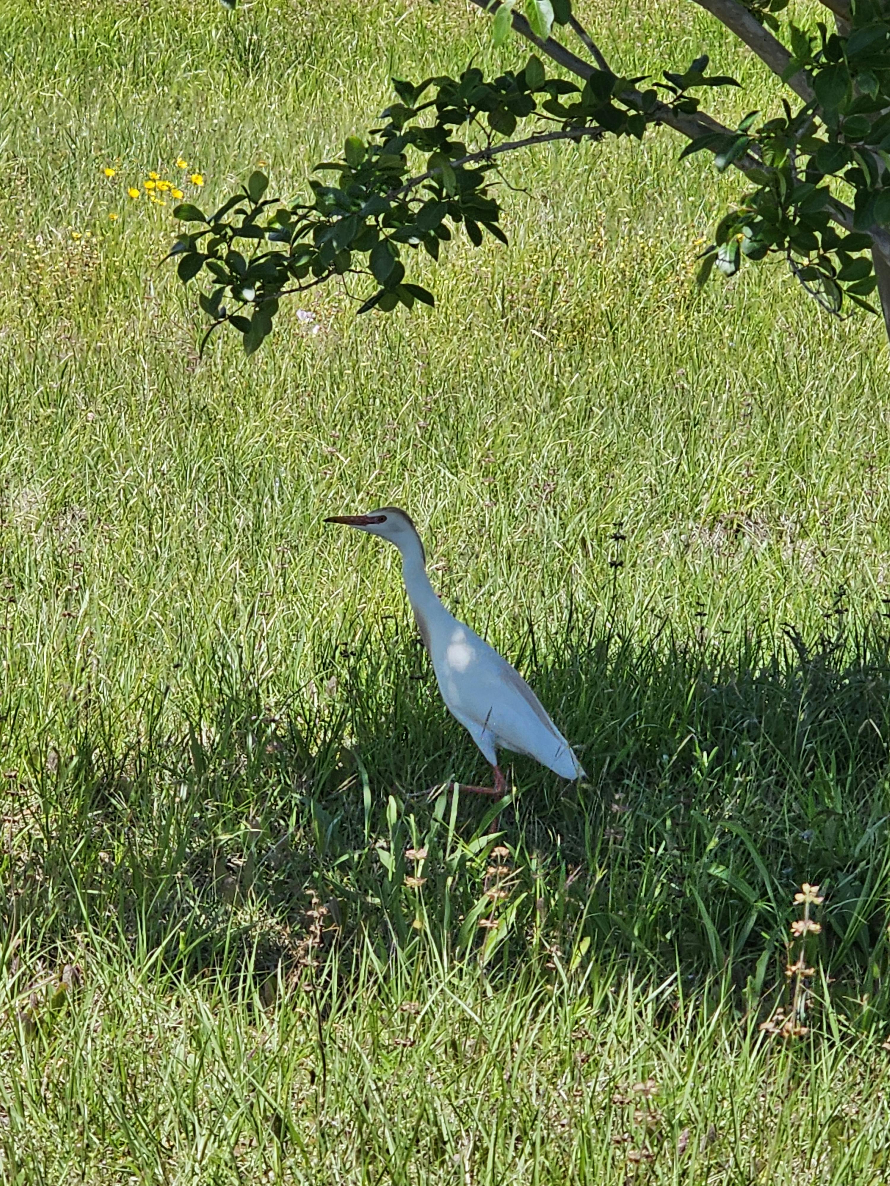 user avatar image for Olivia