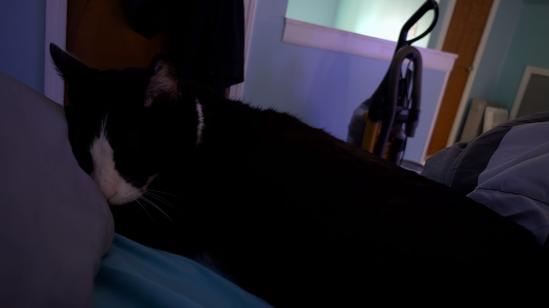 user avatar image for Devin Redd