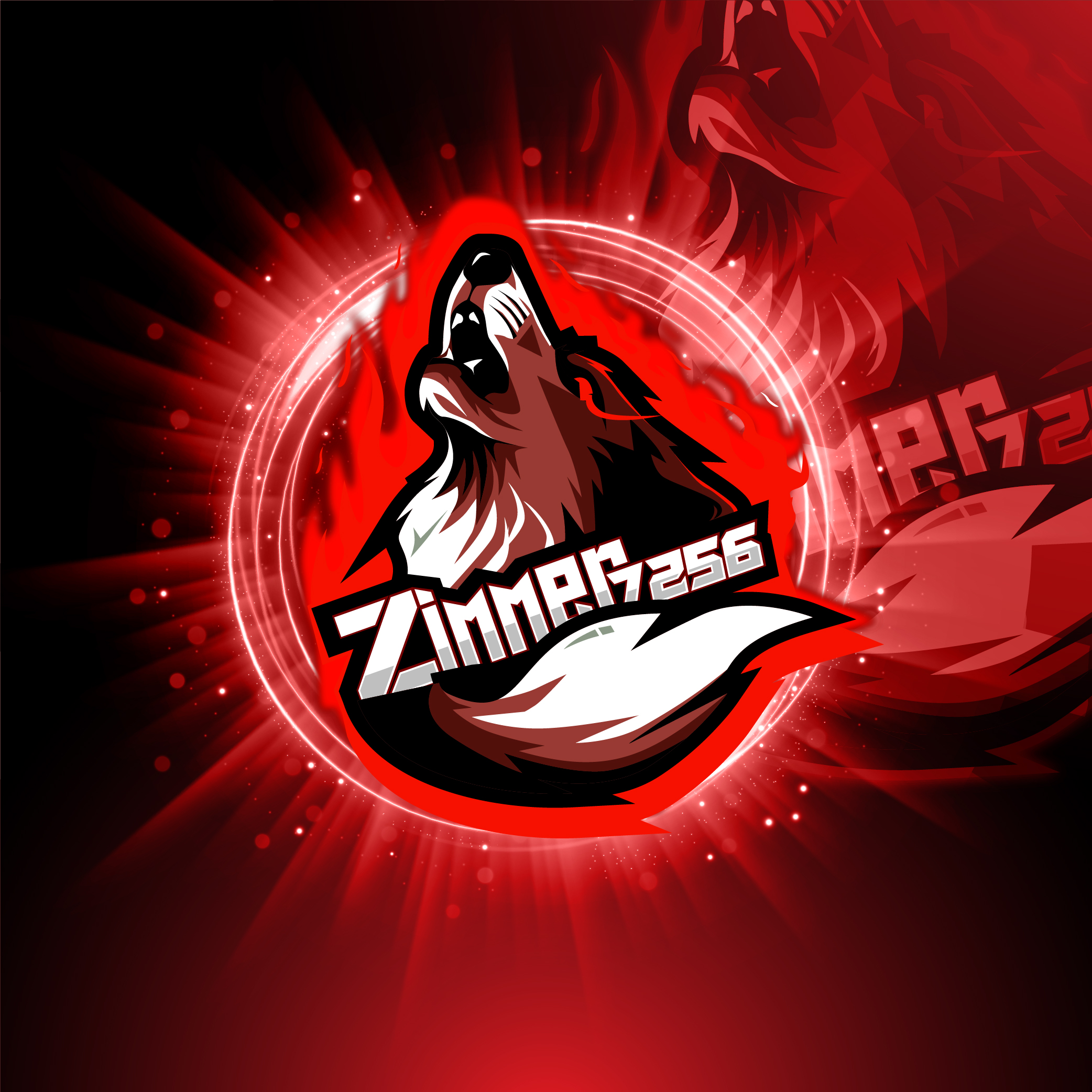 user avatar image for Zimmer7256