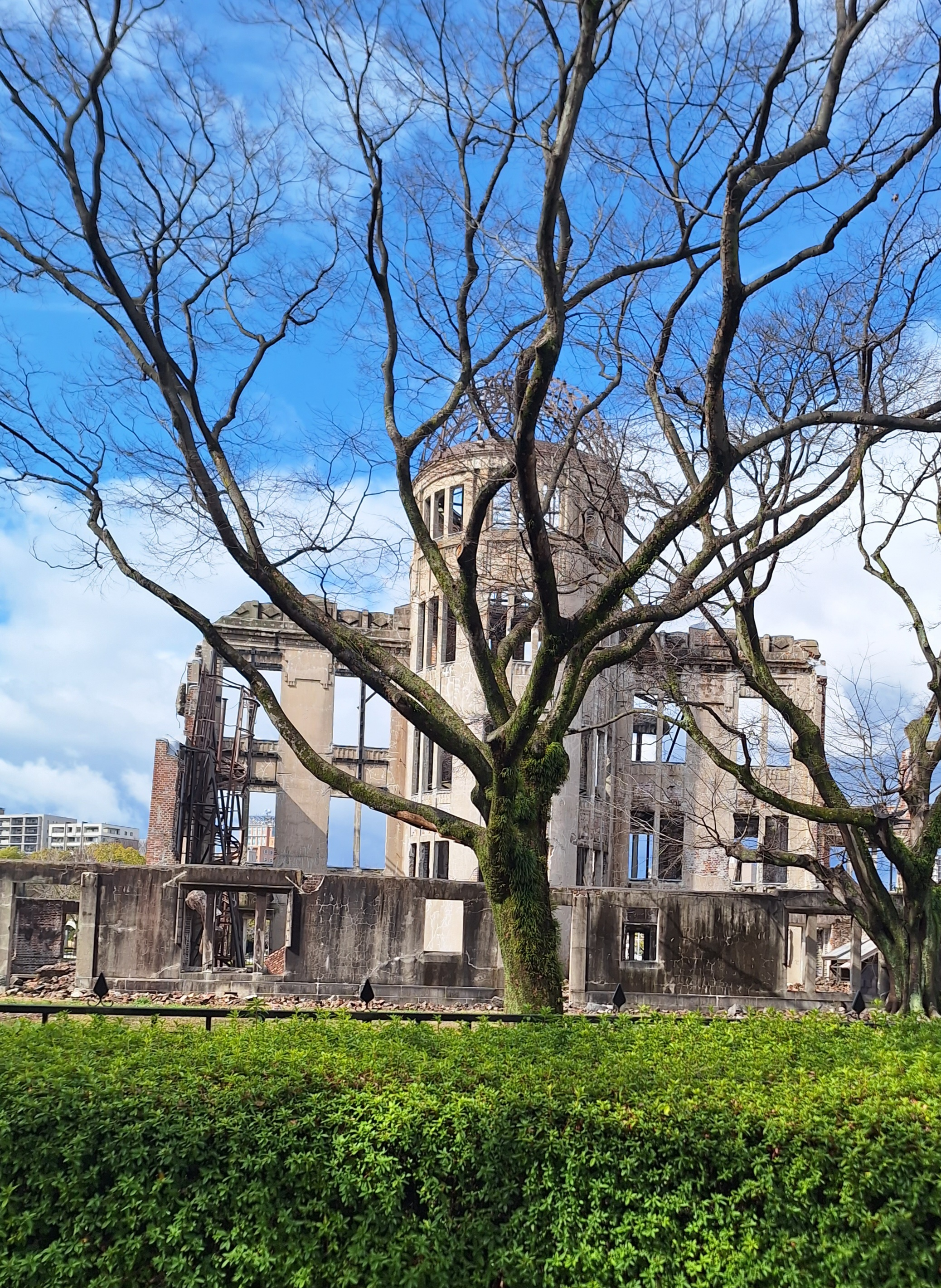 user avatar image for John Arbo