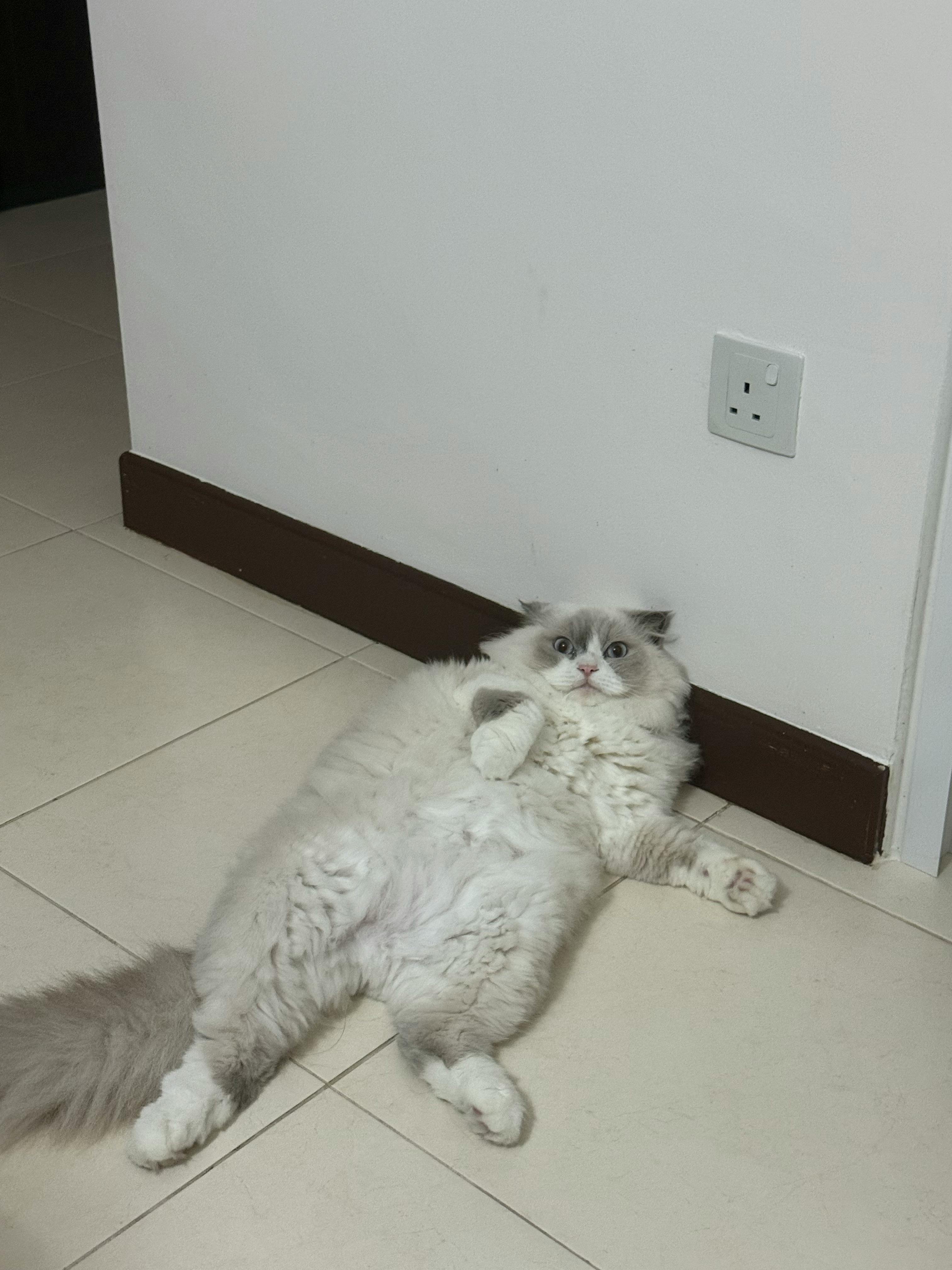 user avatar image for Philene