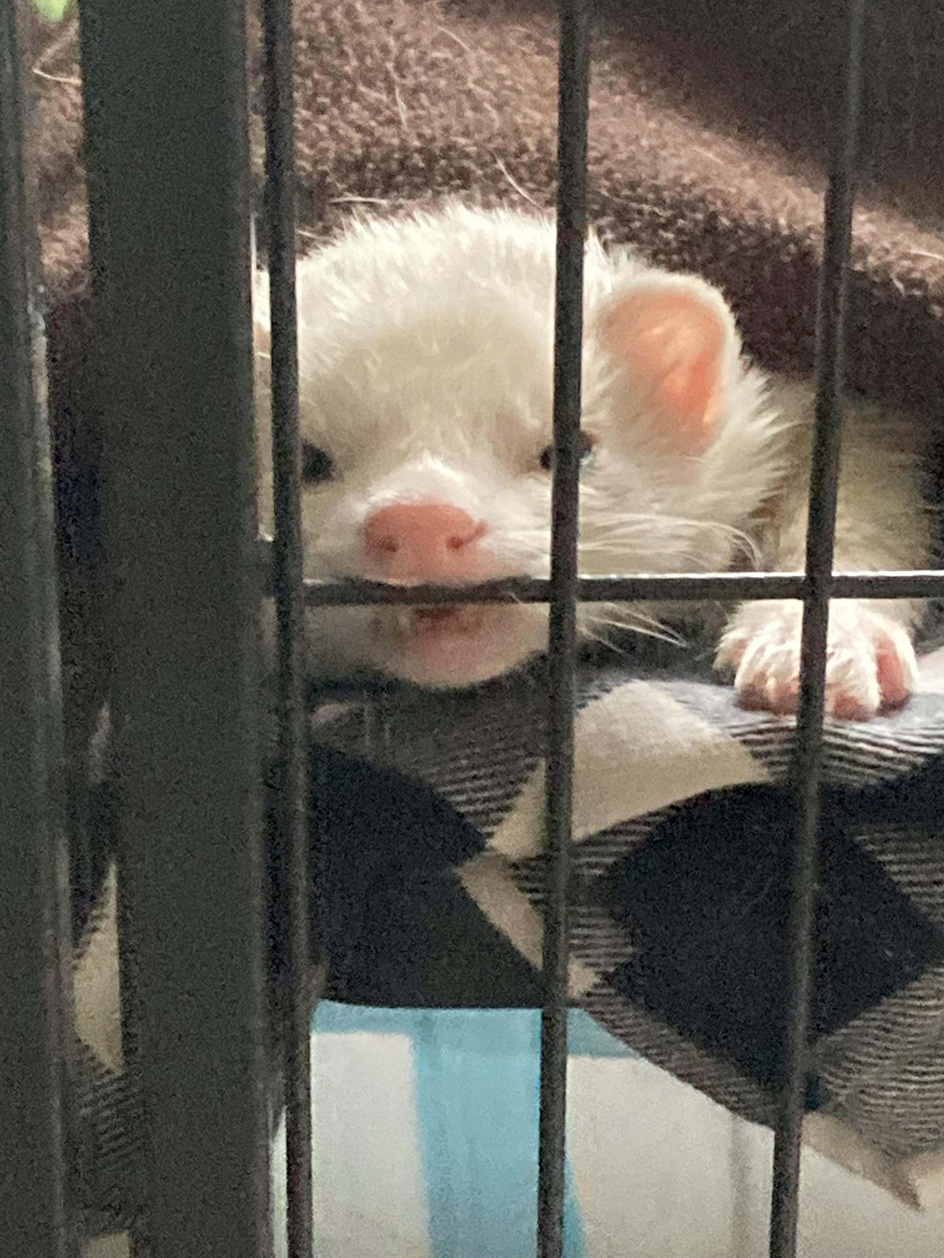 user avatar image for La Web