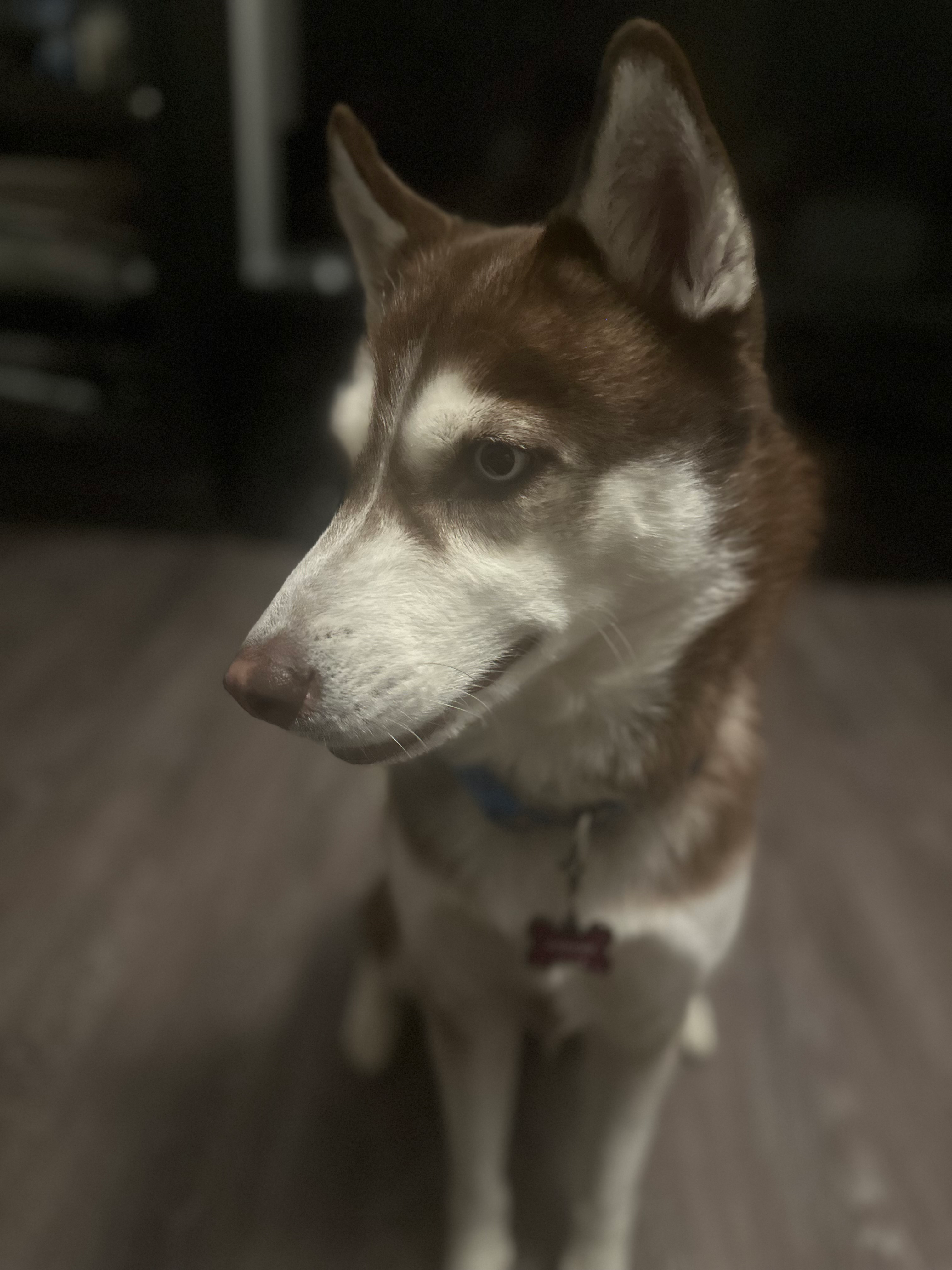 user avatar image for Edward Del Portillo