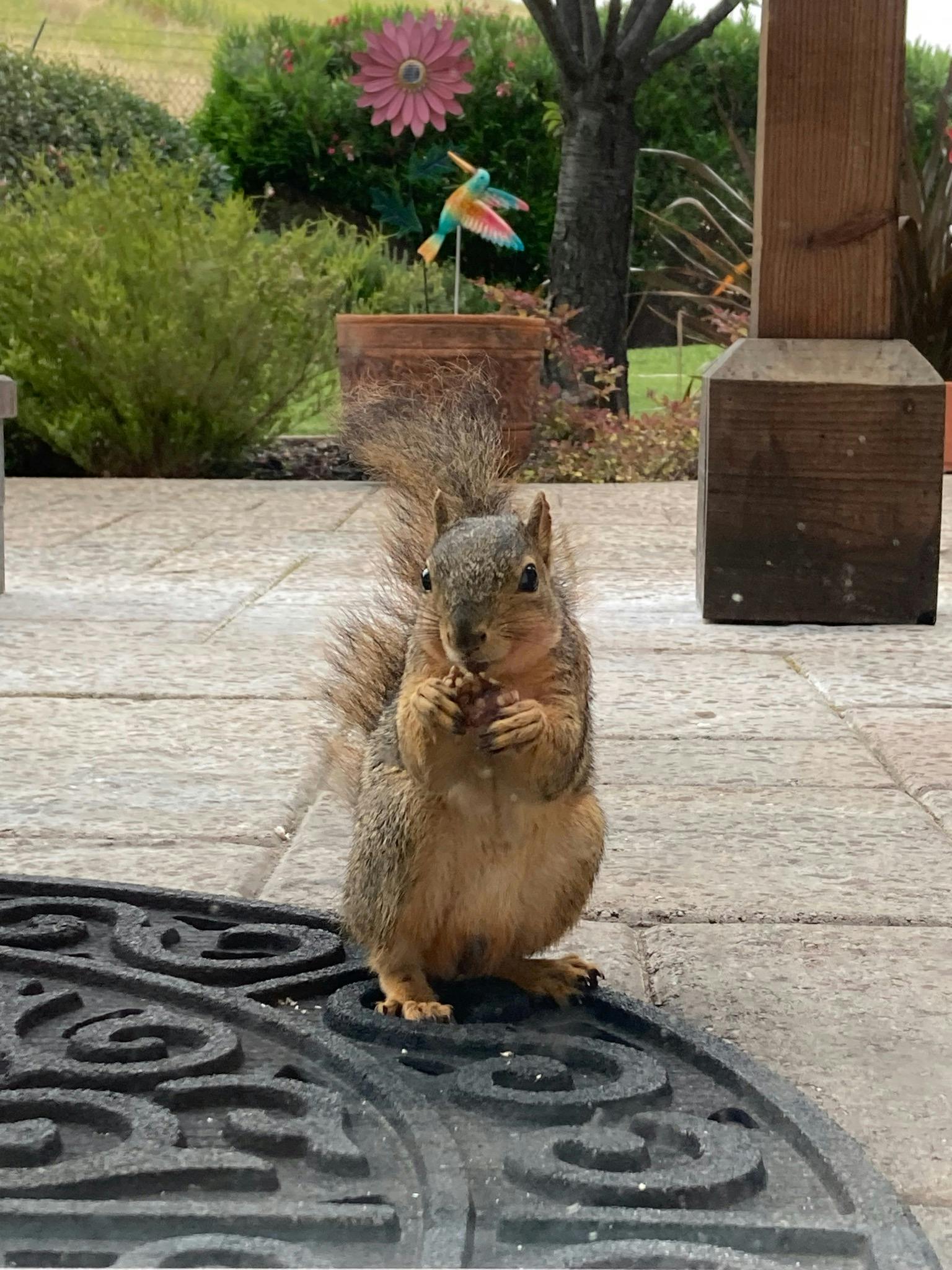 user avatar image for Harmony Ellis