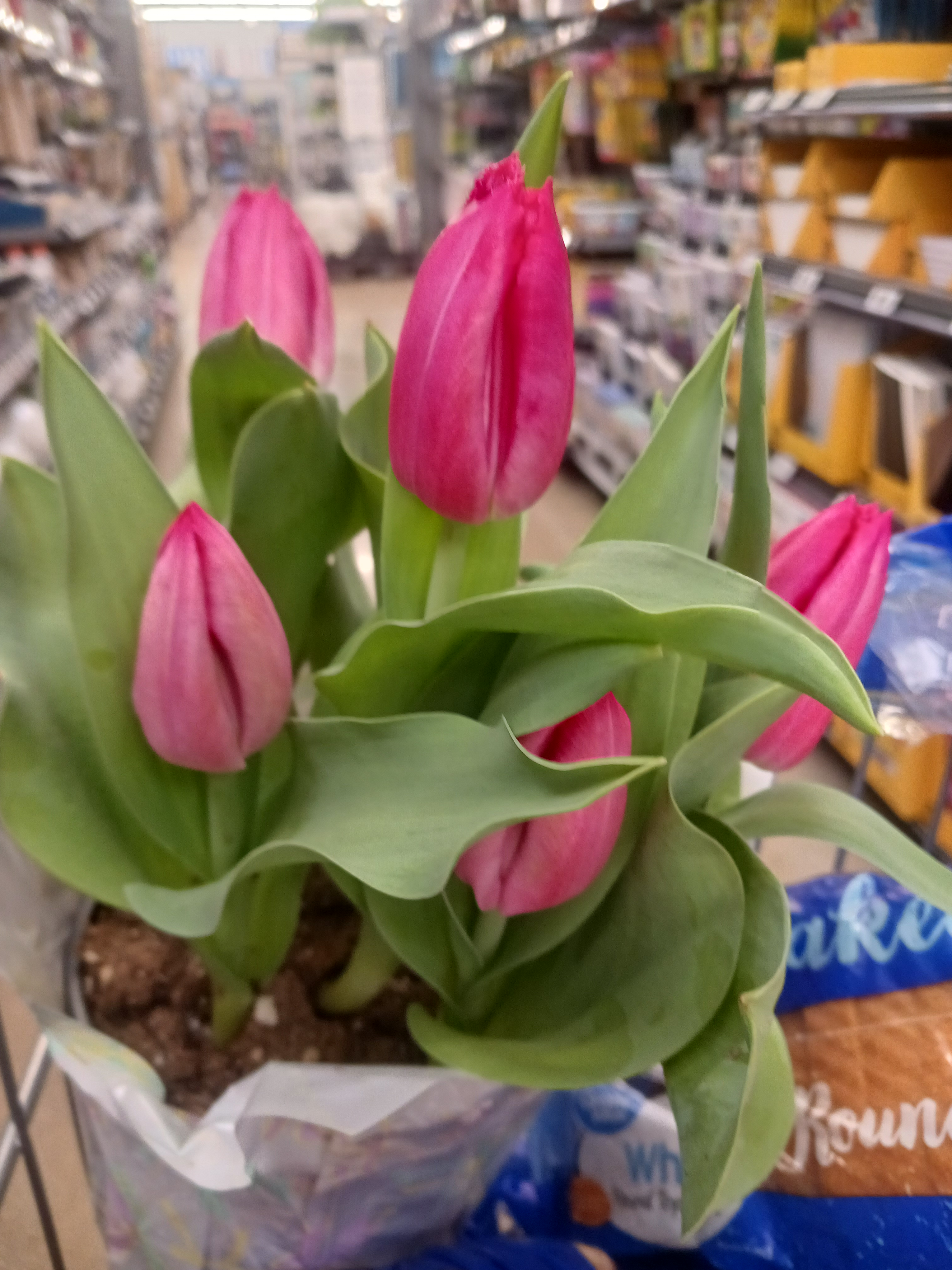 user avatar image for Nightsky80