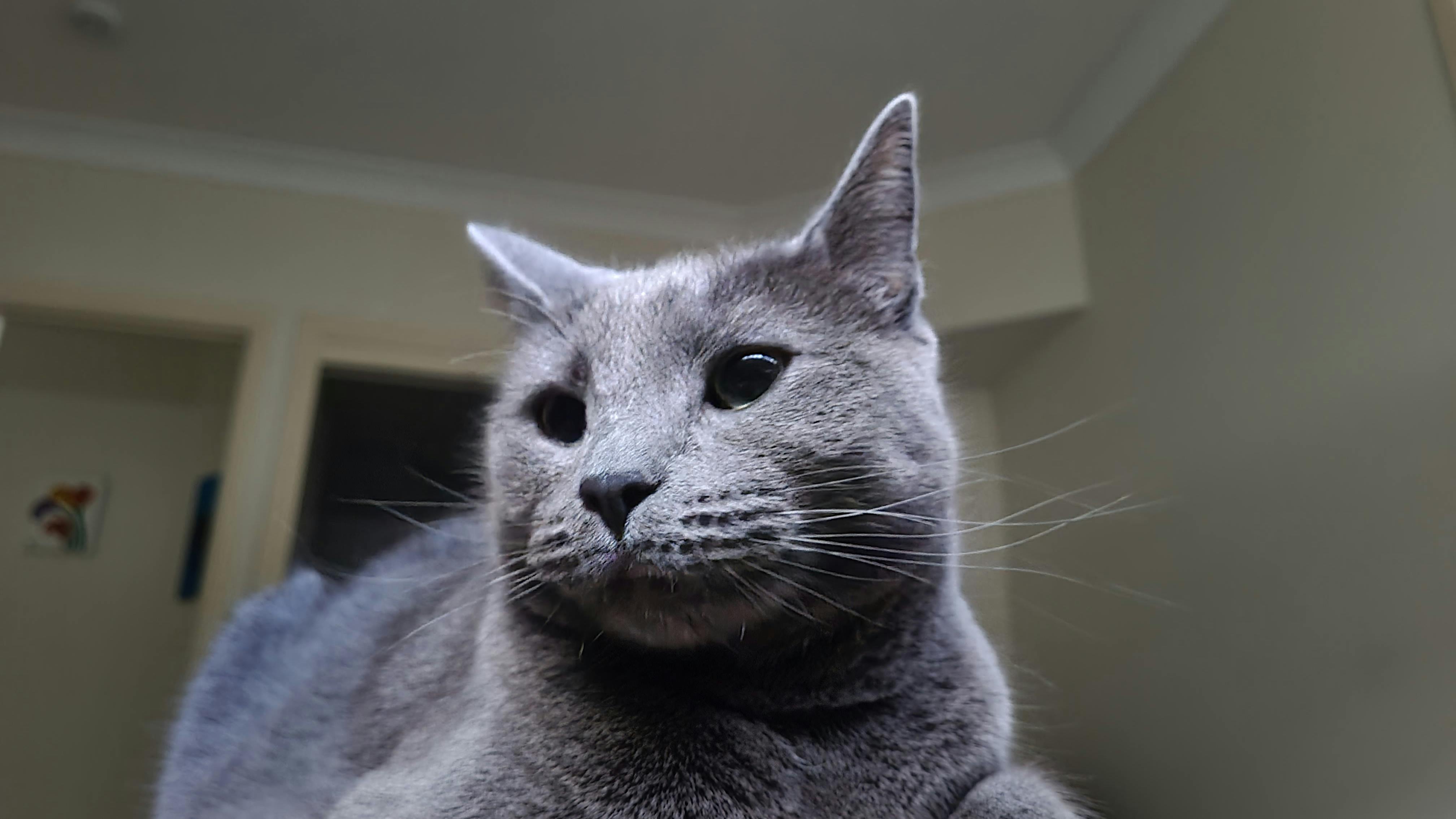 user avatar image for Pedro