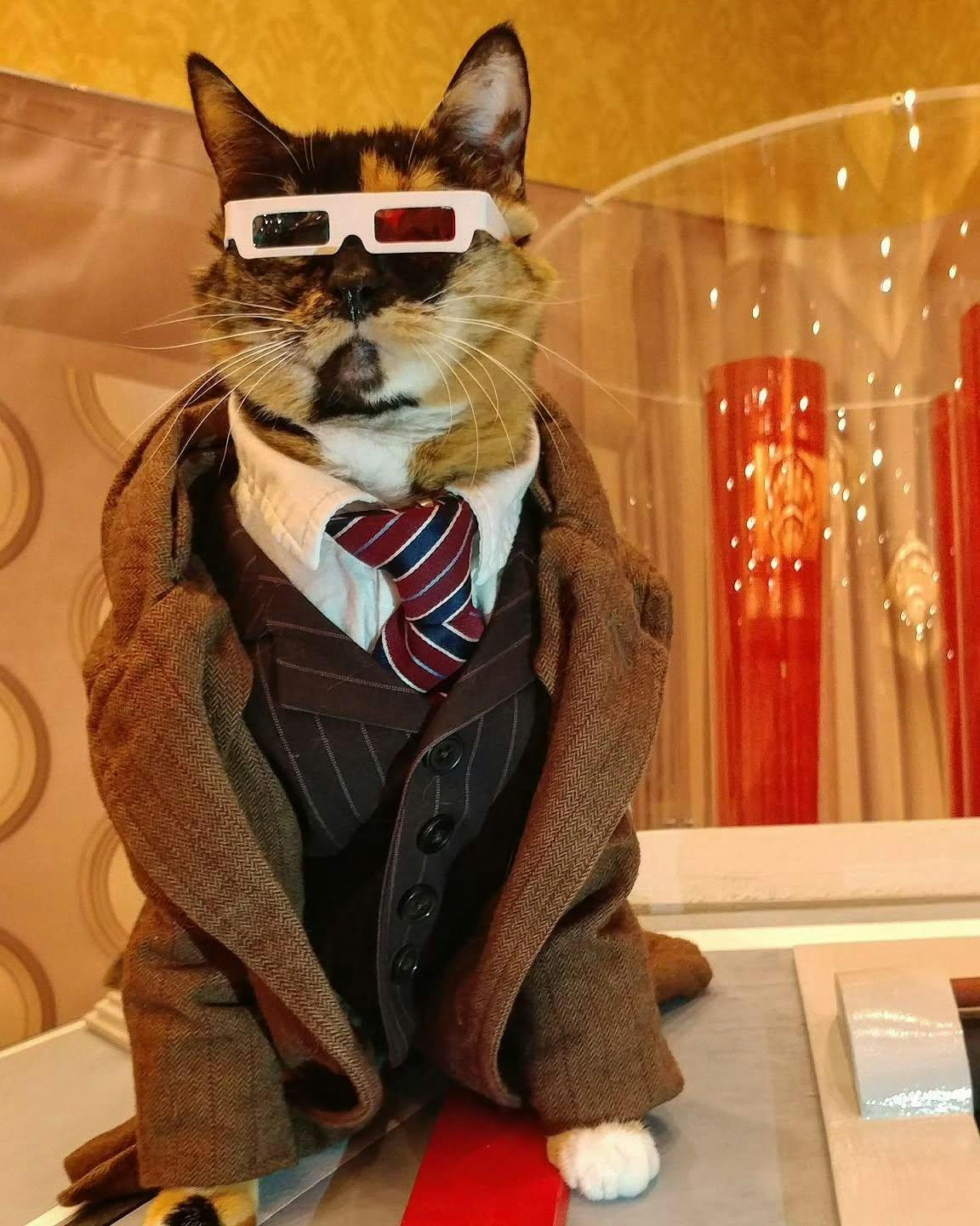 user avatar image for Taylor