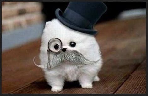 user avatar image for magestrike